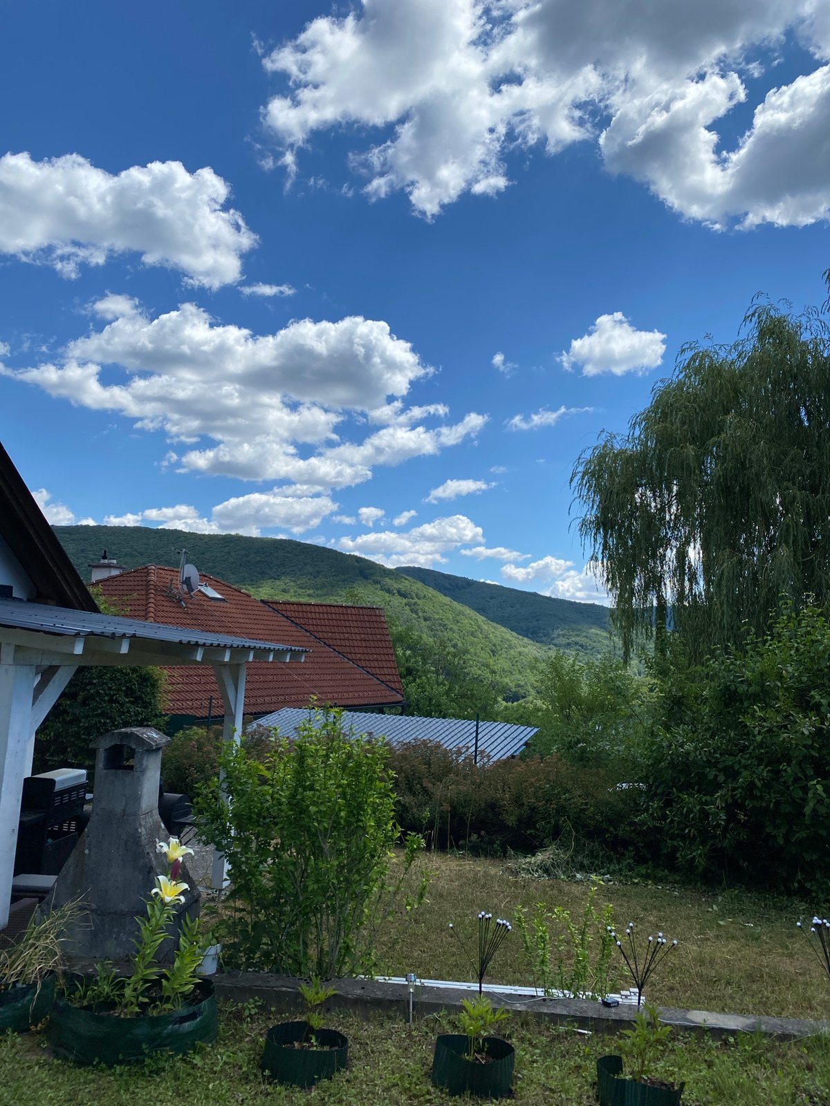 Summer morning in Purkersdorf: gardens, hillsides, and small details