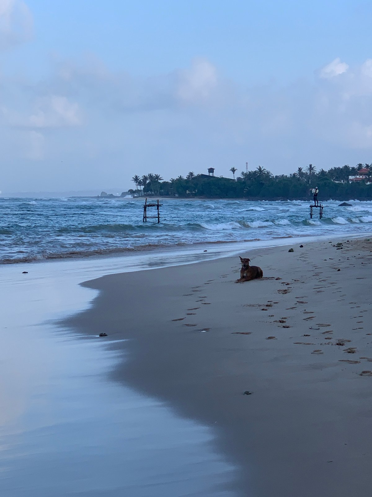 Sunset along the southern Sri Lanka coast, beaches and stilt fishing