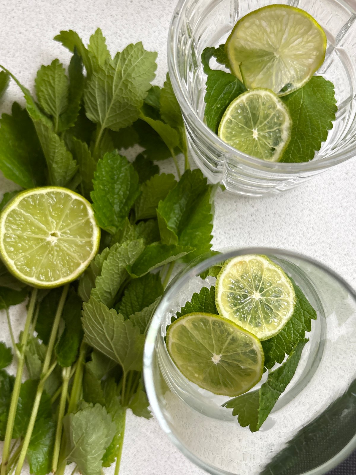 Refreshing mint-lime drinks prepared in Saint Petersburg afternoon gathering