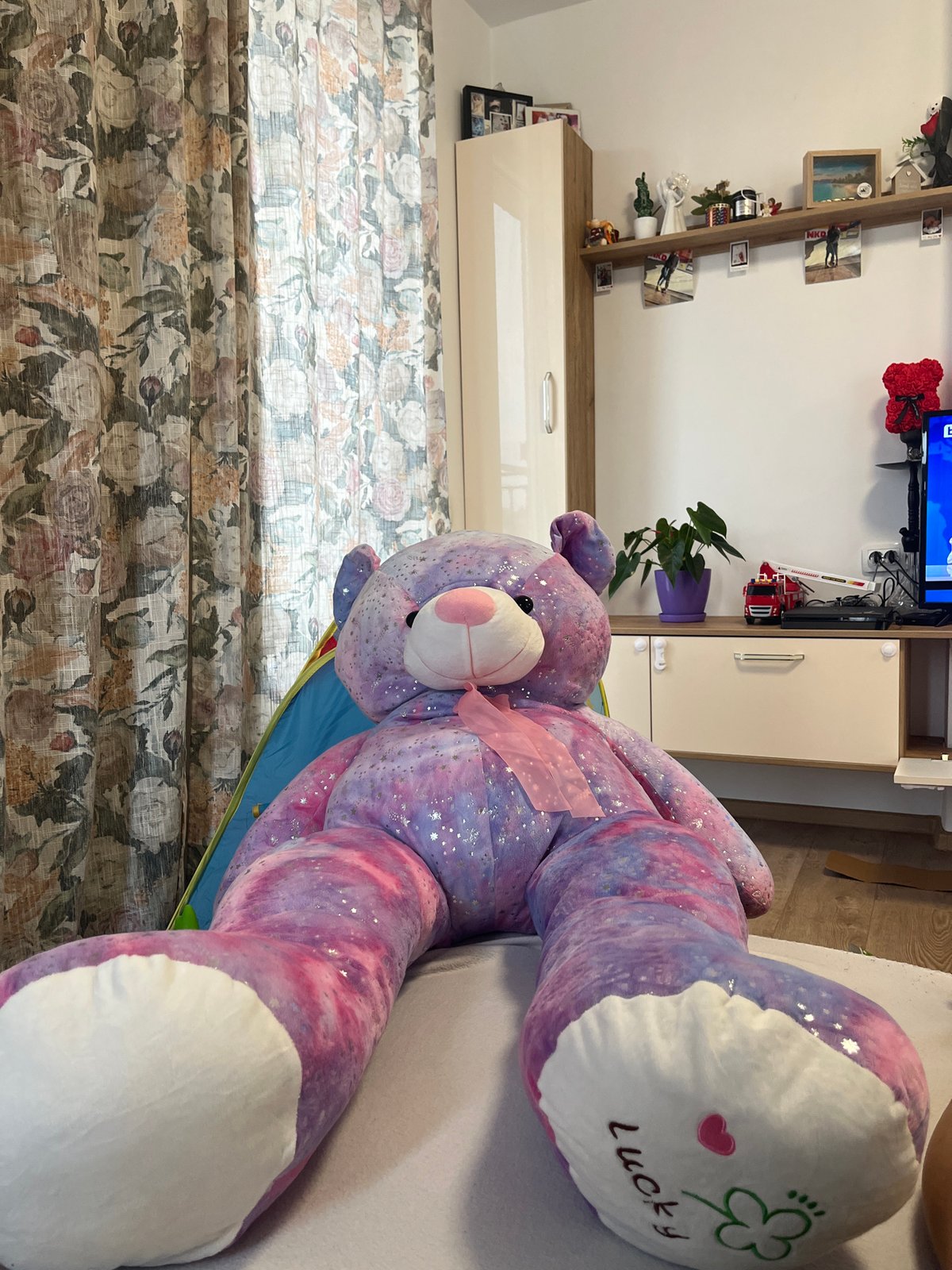 Large stuffed animal photographed in Burgas home