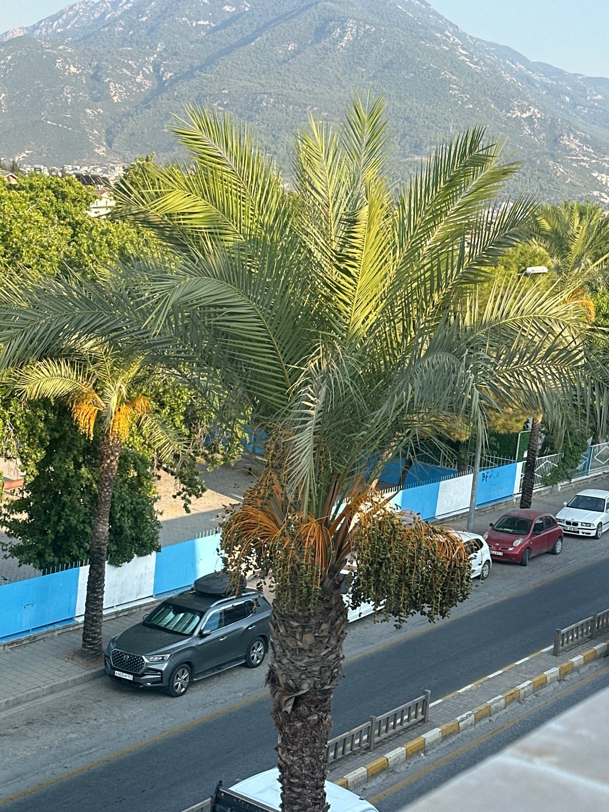 A lazy summer afternoon around Fethiye's streets and rooftops