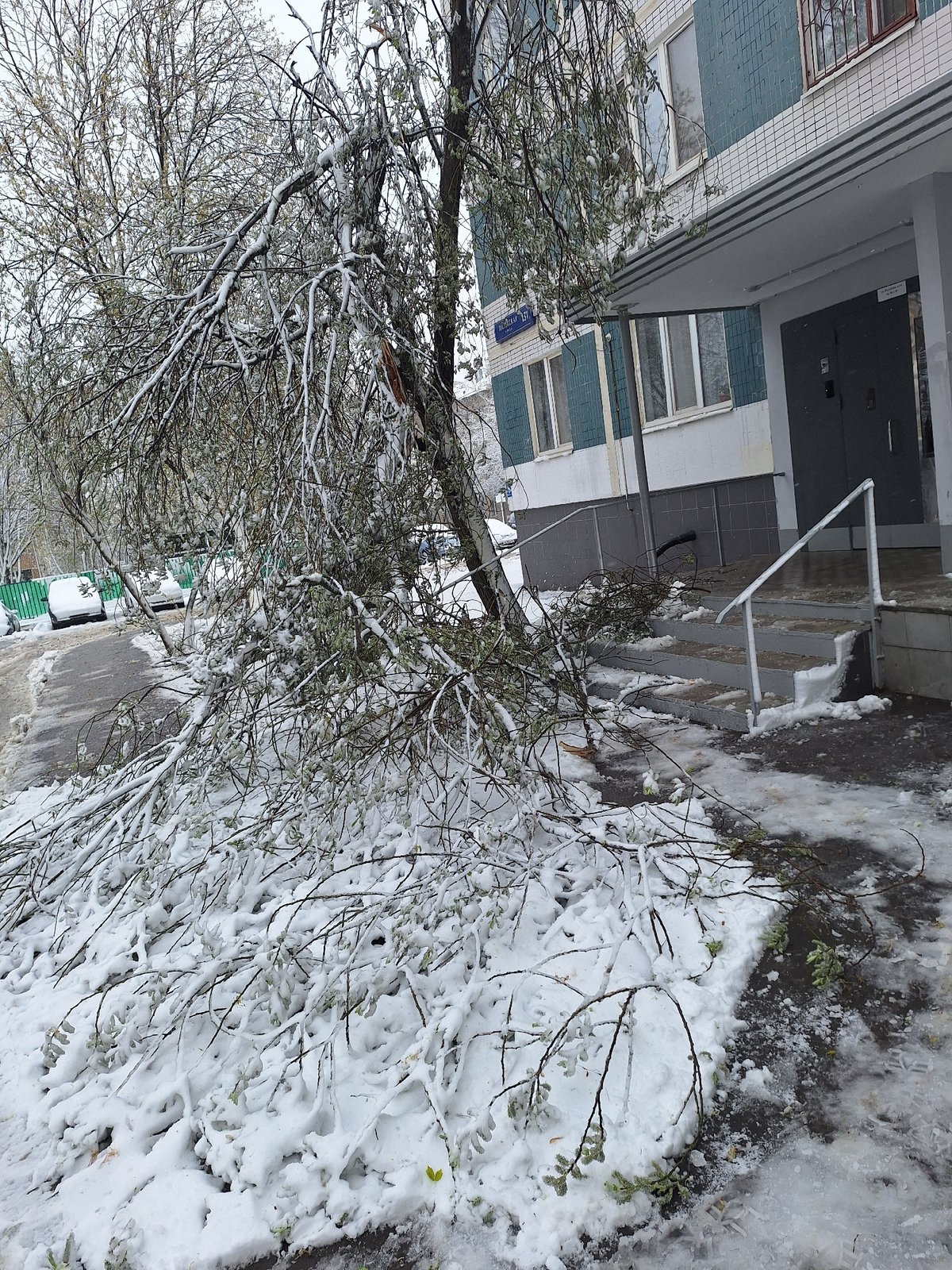 Heavy snowfall covers Moscow buildings and streets Monday morning
