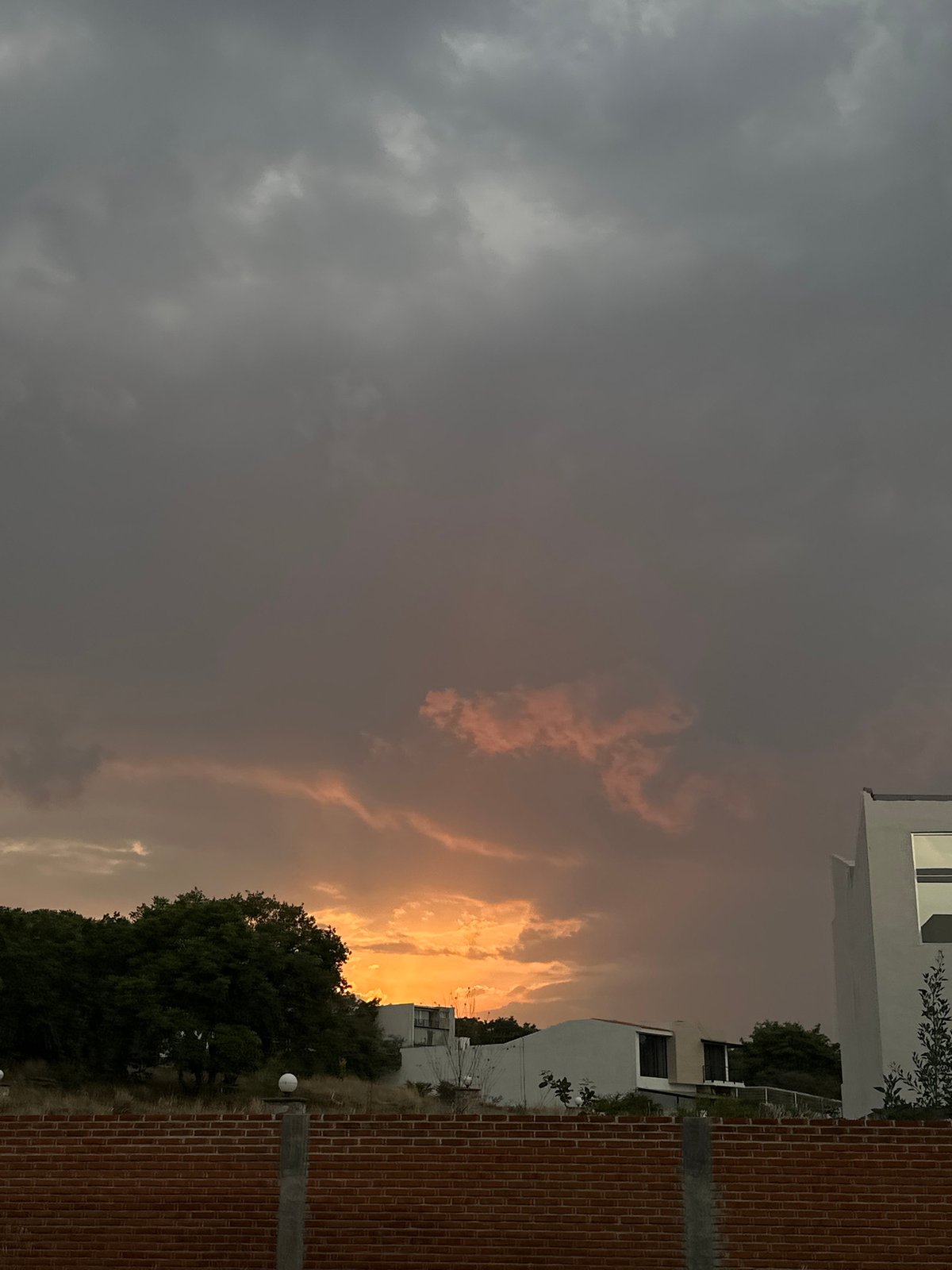 Orange glow illuminates horizon above silhouetted trees and buildings