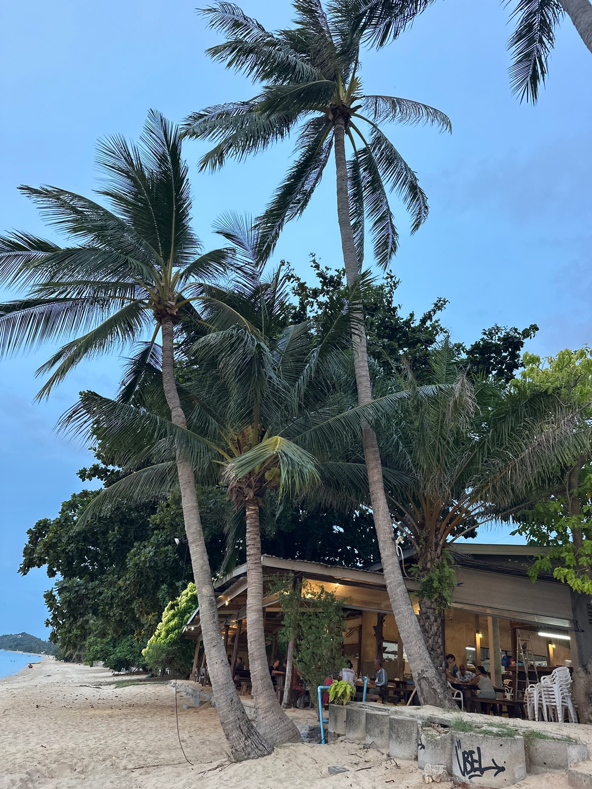 Golden hour on a Ko Samui beach, fishing boats and palm trees