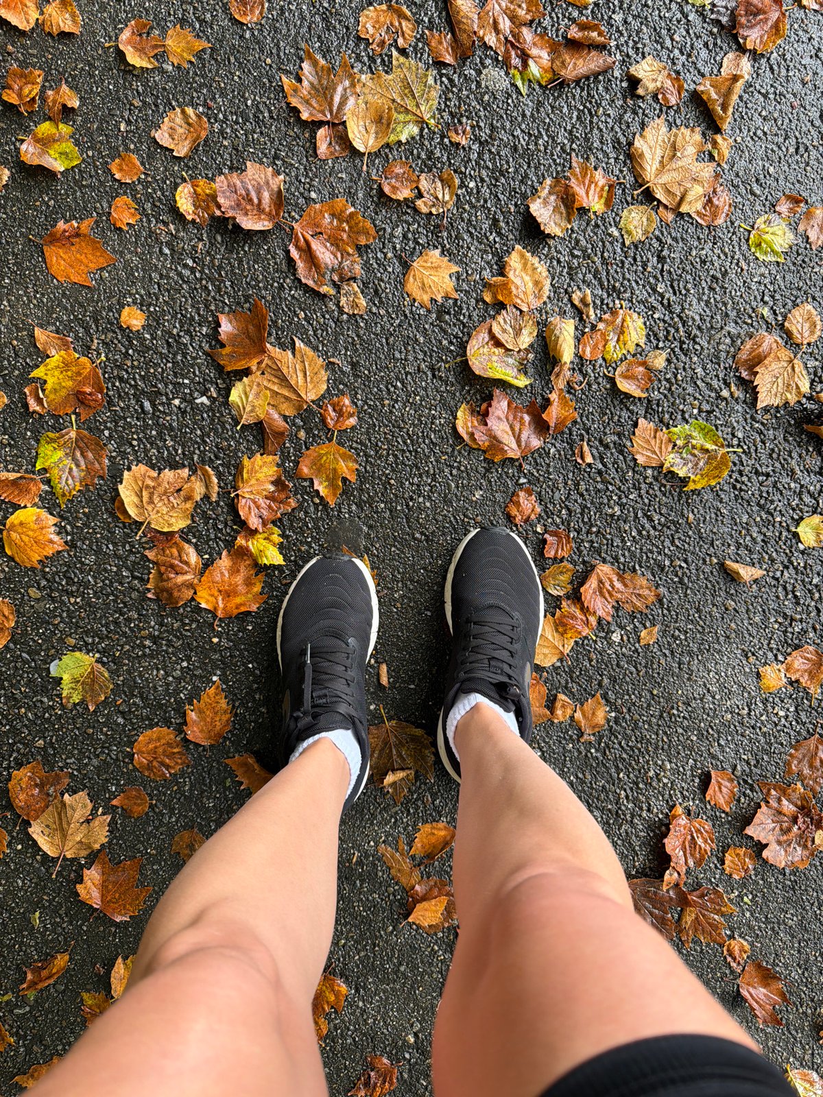 Autumn leaves on wet Sochi pavement, quick selfie stop