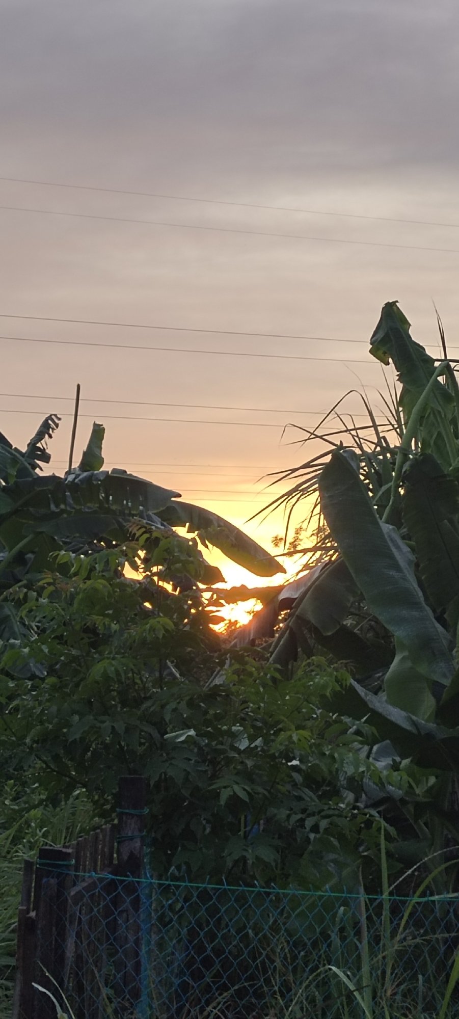 Colorful sunset documented over tropical landscape in Lhokseumawe, Indonesia
