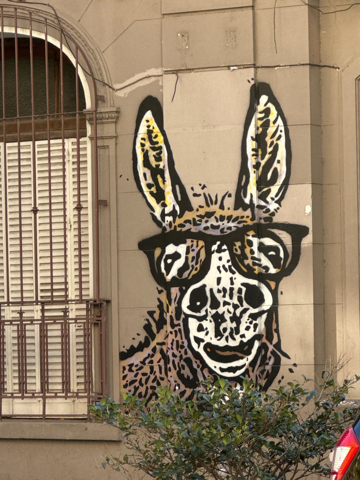 Street scenes documented along Buenos Aires neighborhood including murals, shops