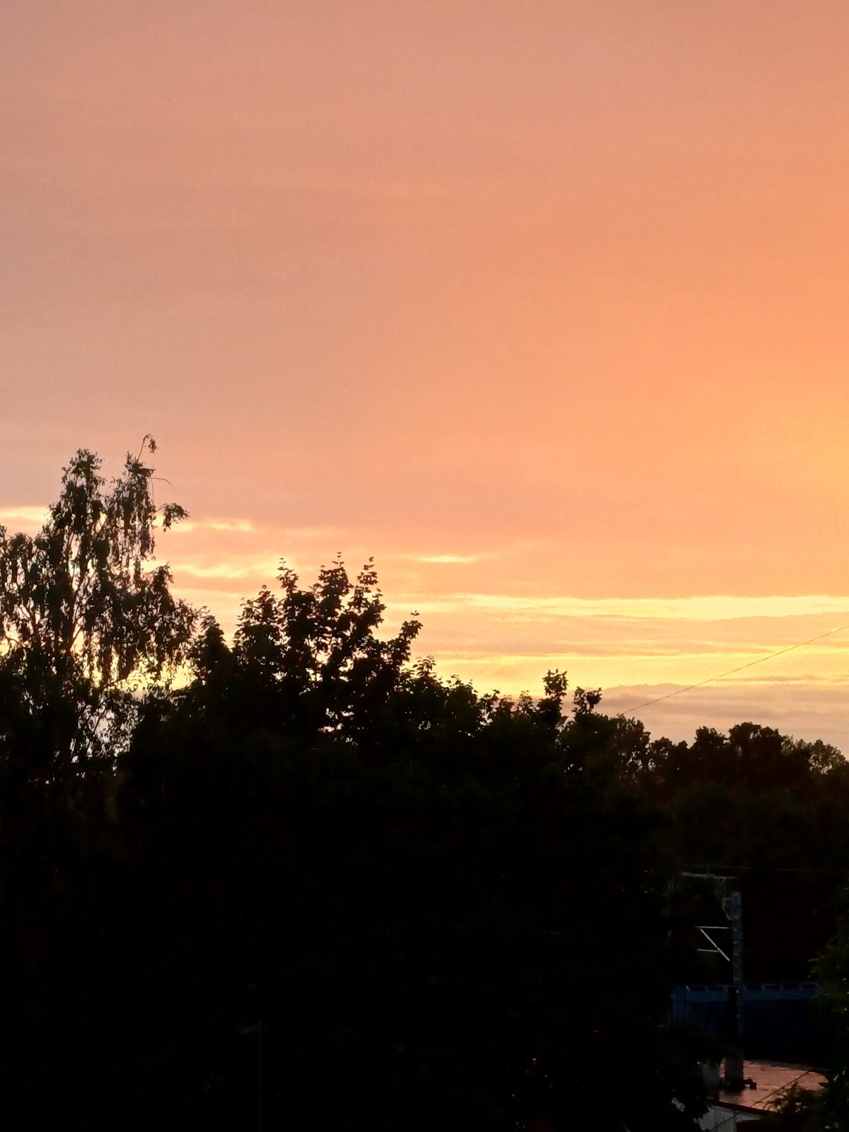 Riga sunset through the treeline, caught from multiple angles