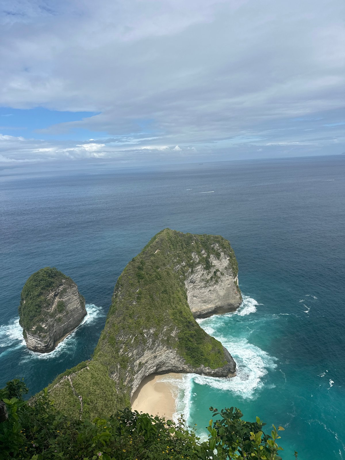 Monkeys spotted at Kelingking Beach viewpoint, Nusa Penida