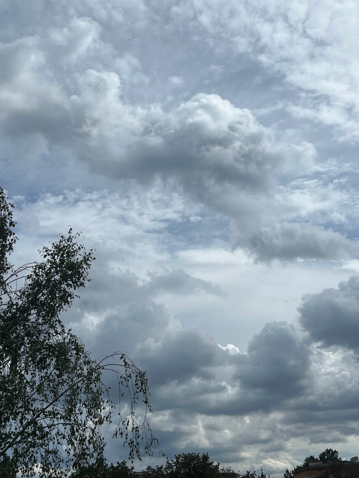 Warsaw storm rolls in, butterflies and rain-soaked windows