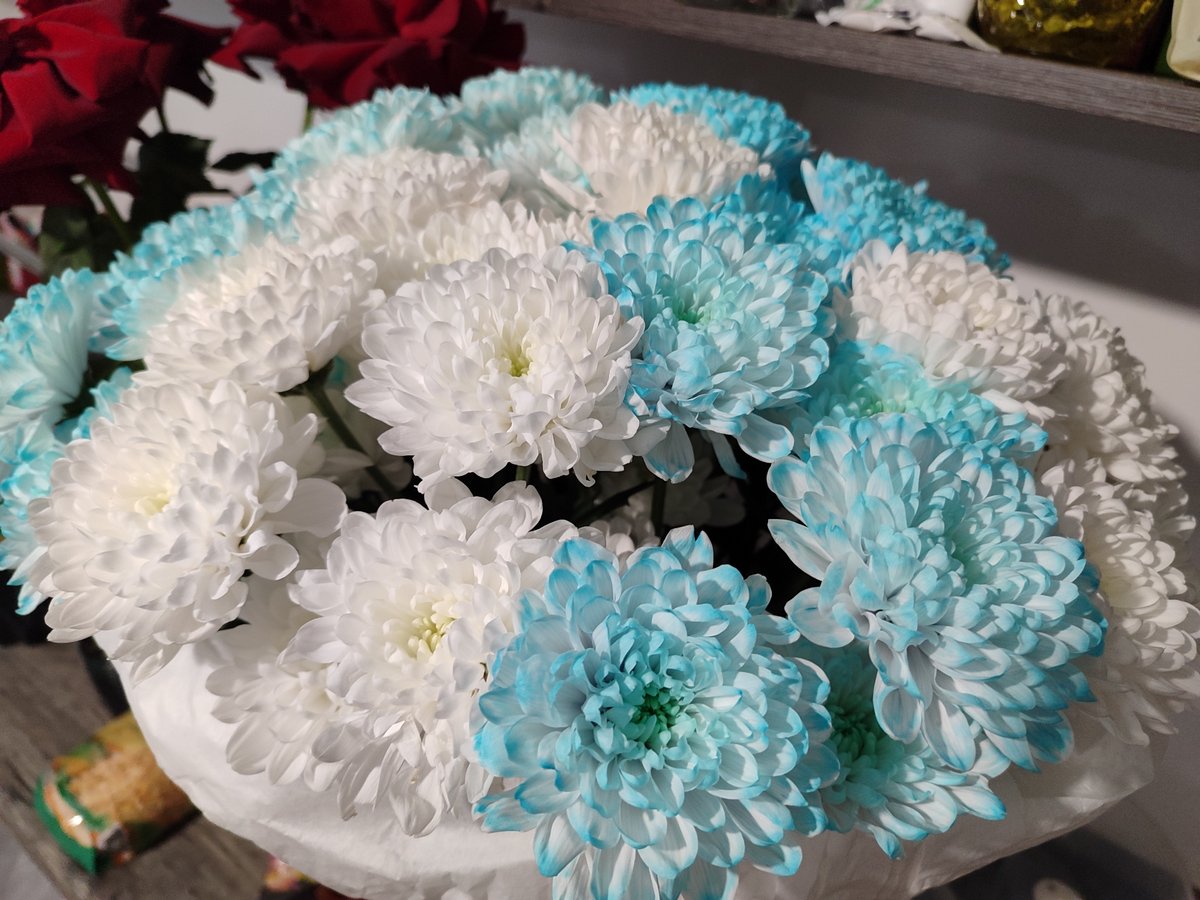 Chrysanthemum bouquet photographed in Izhevsk, Russia
