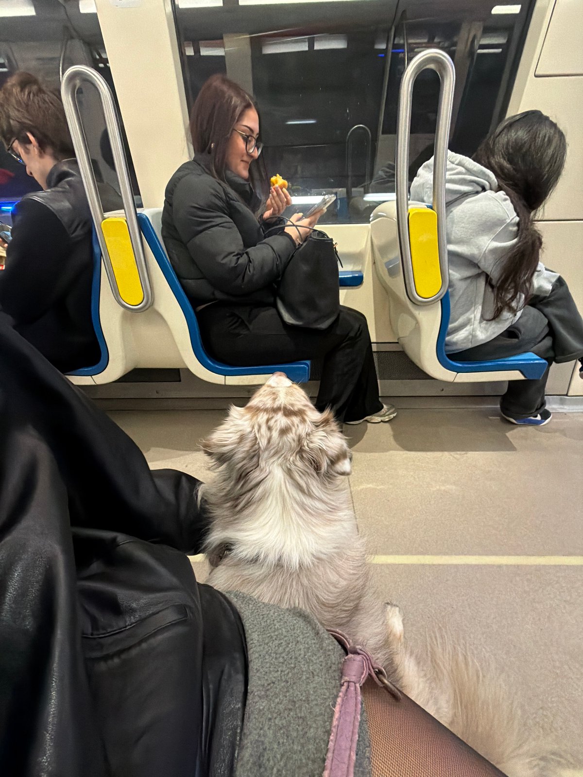 Light ridership observed on Montreal Metro Blue Line Friday afternoon