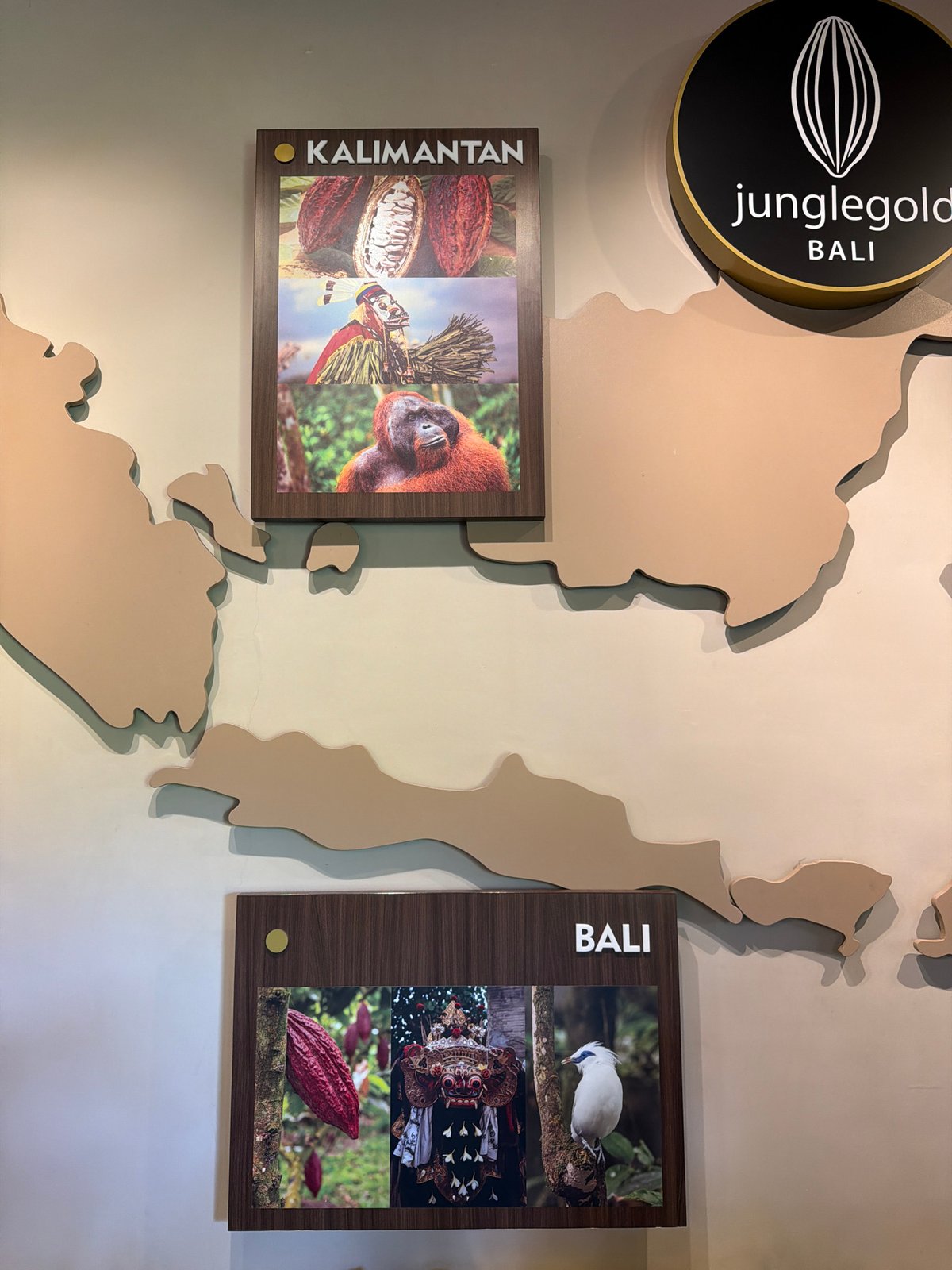 School group visits JungleGold Bali chocolate facility and shop