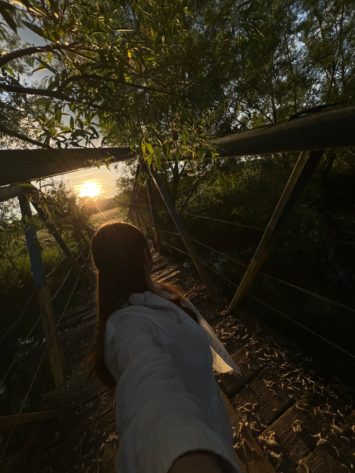 Golden hour nature scenes captured across rural Ukraine