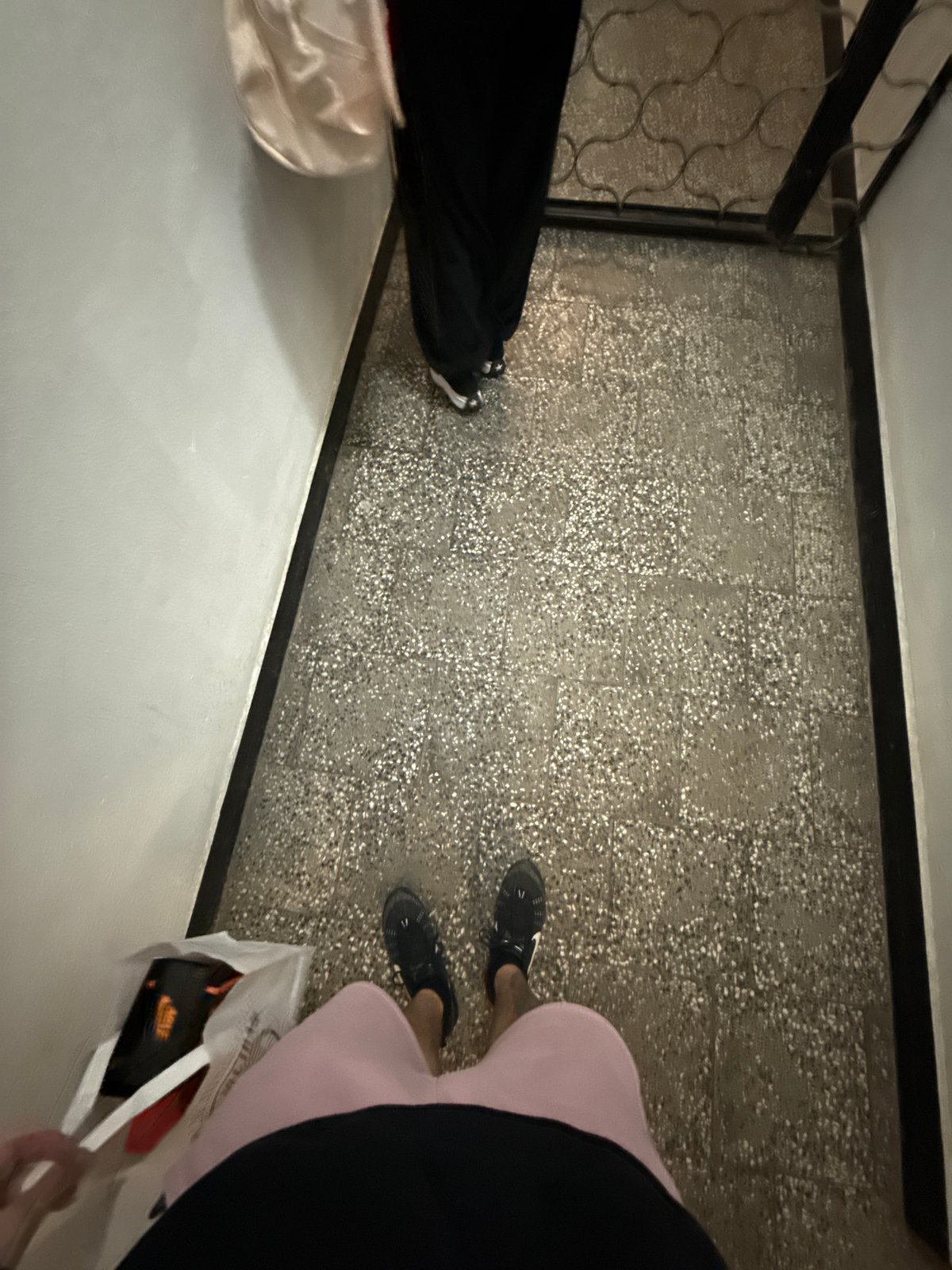 Domestic moments with dog captured across Sofia apartment