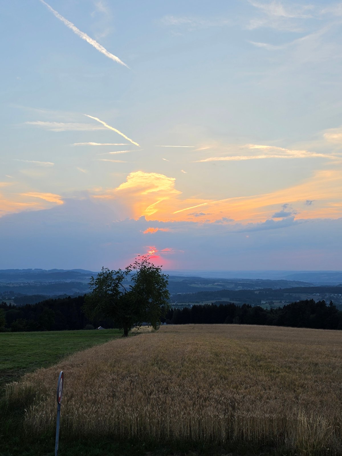 Sunset over wheat fields in rural St. Gallen