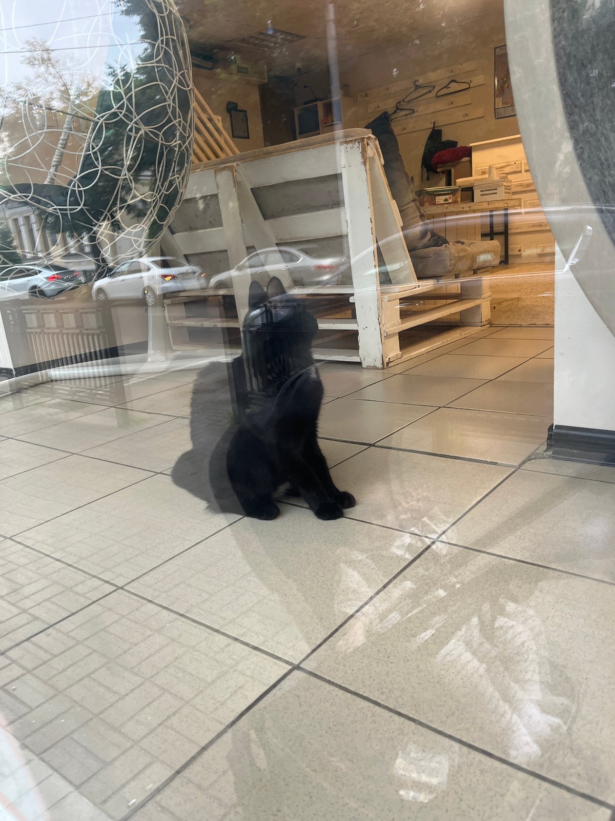 Black cat sprawled on tiled floor, seen through glass