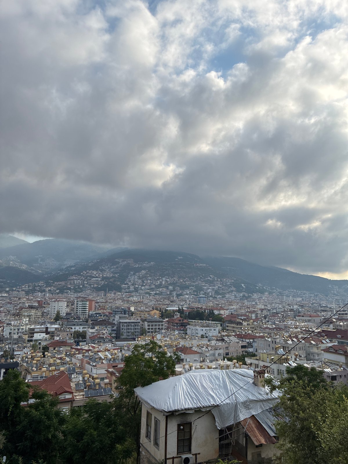 Alanya hillside: city views, blooming bougainvillea, and a vintage Ford