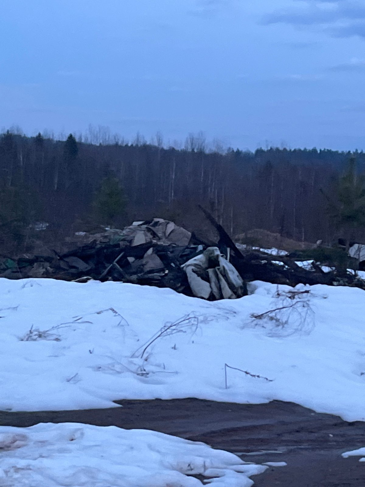 Garbage dump documented near forest in Марковский, Russia