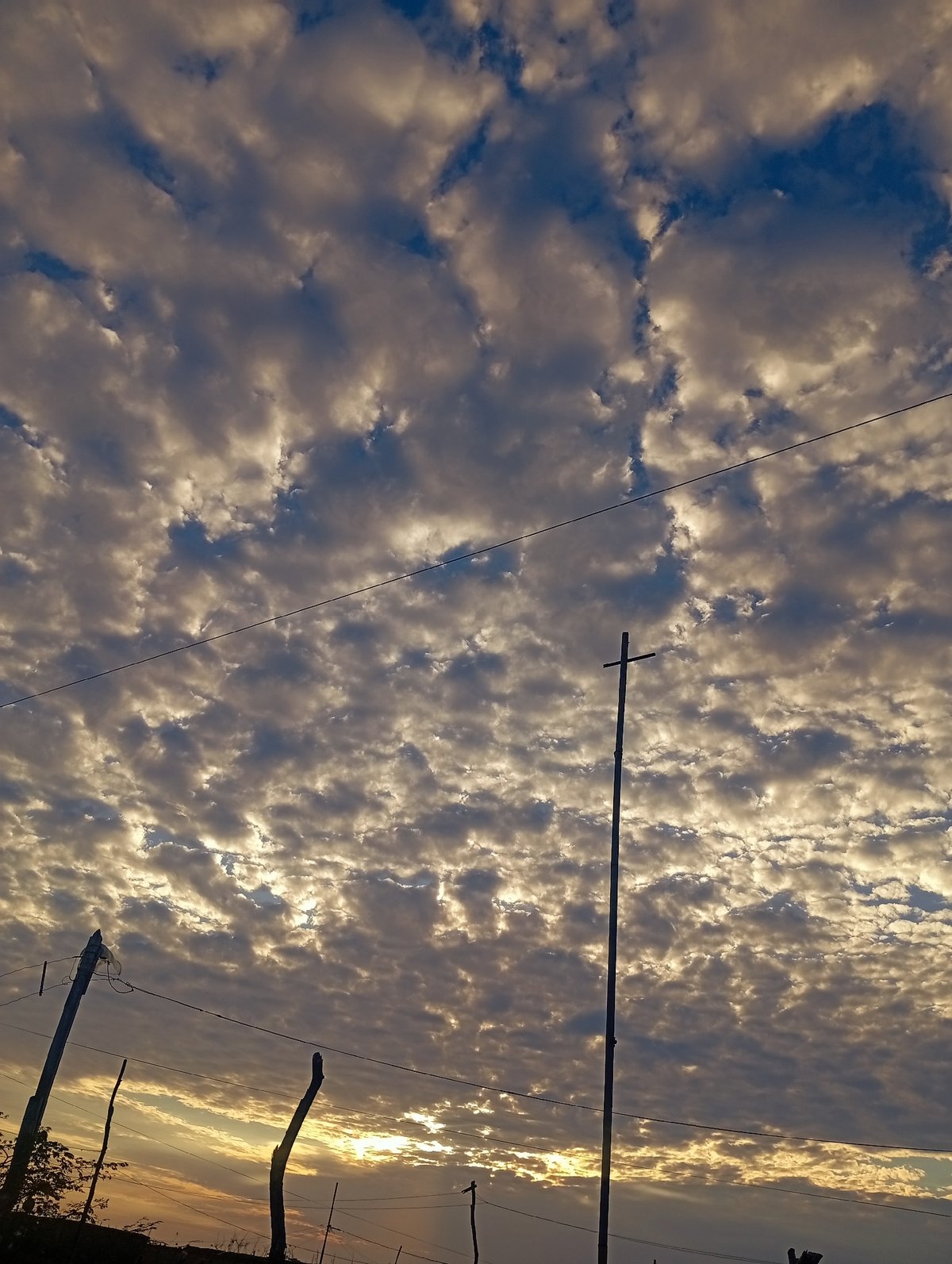 Evening sky, newborn kittens documented in Altagracia, Venezuela
