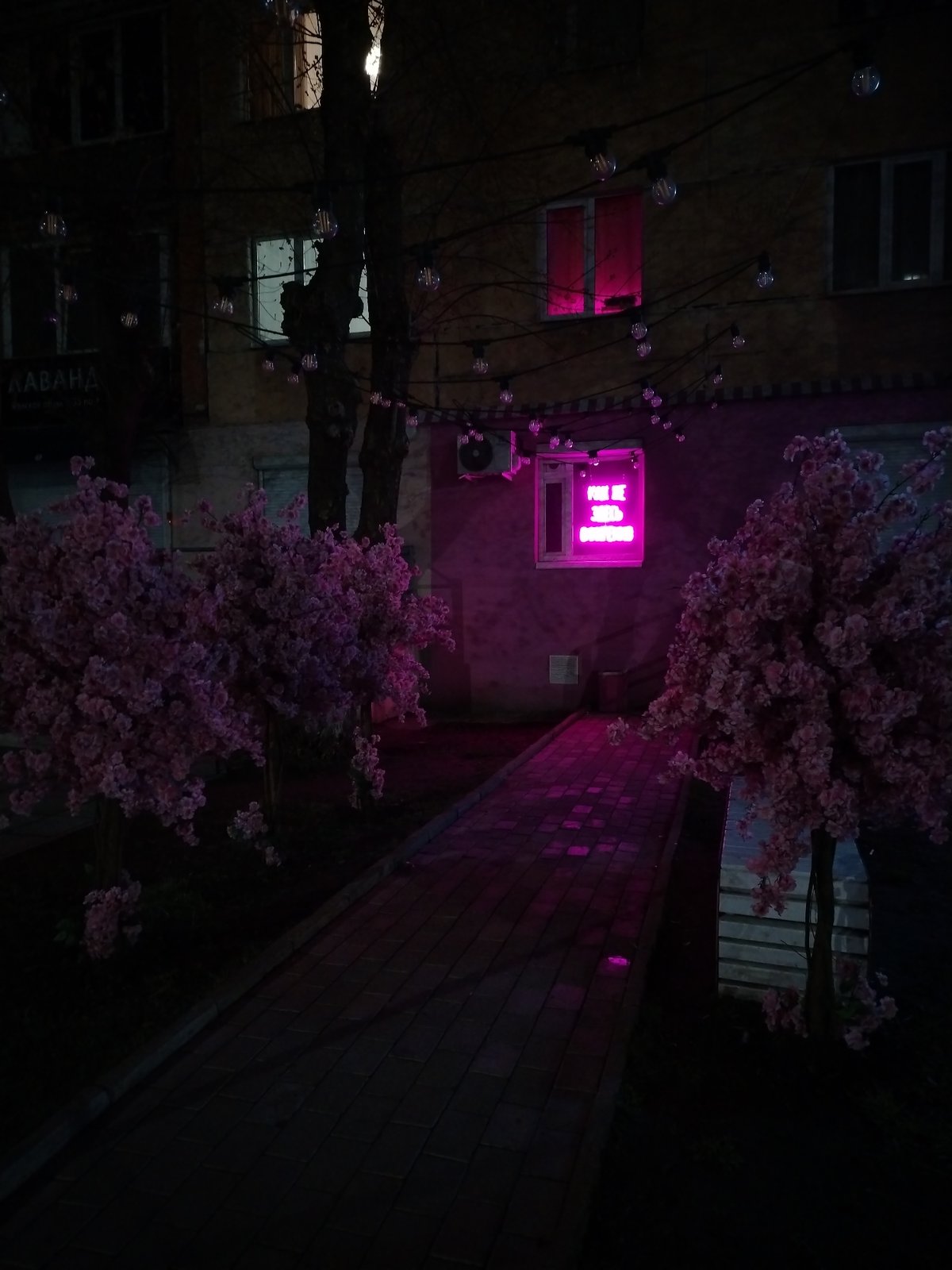 Night scenes documented in Izhevsk with neon signs, pedestrian