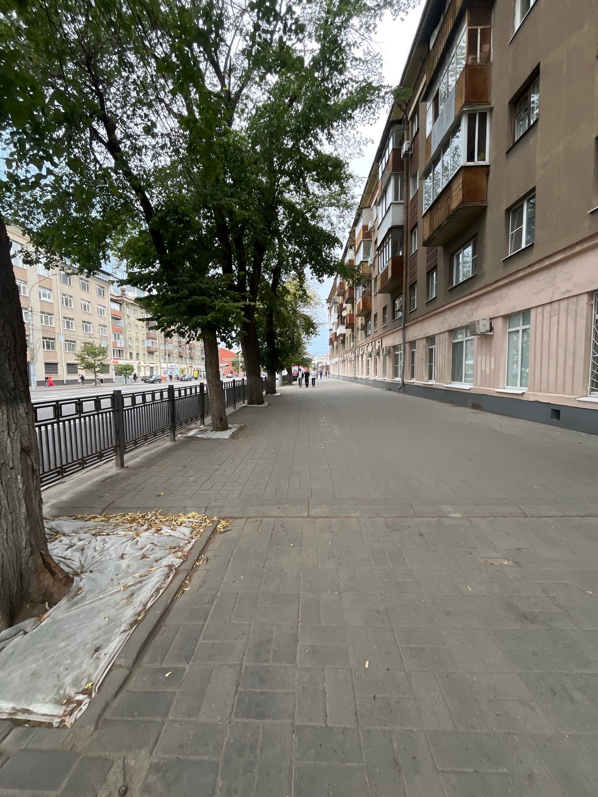 Overcast street scene in Voronezh on a quiet afternoon