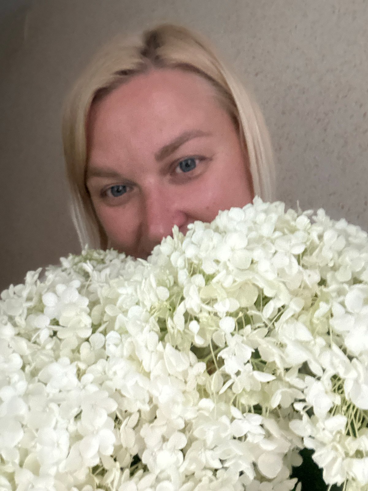 White hydrangeas and Chaikovsky sunsets, one evening