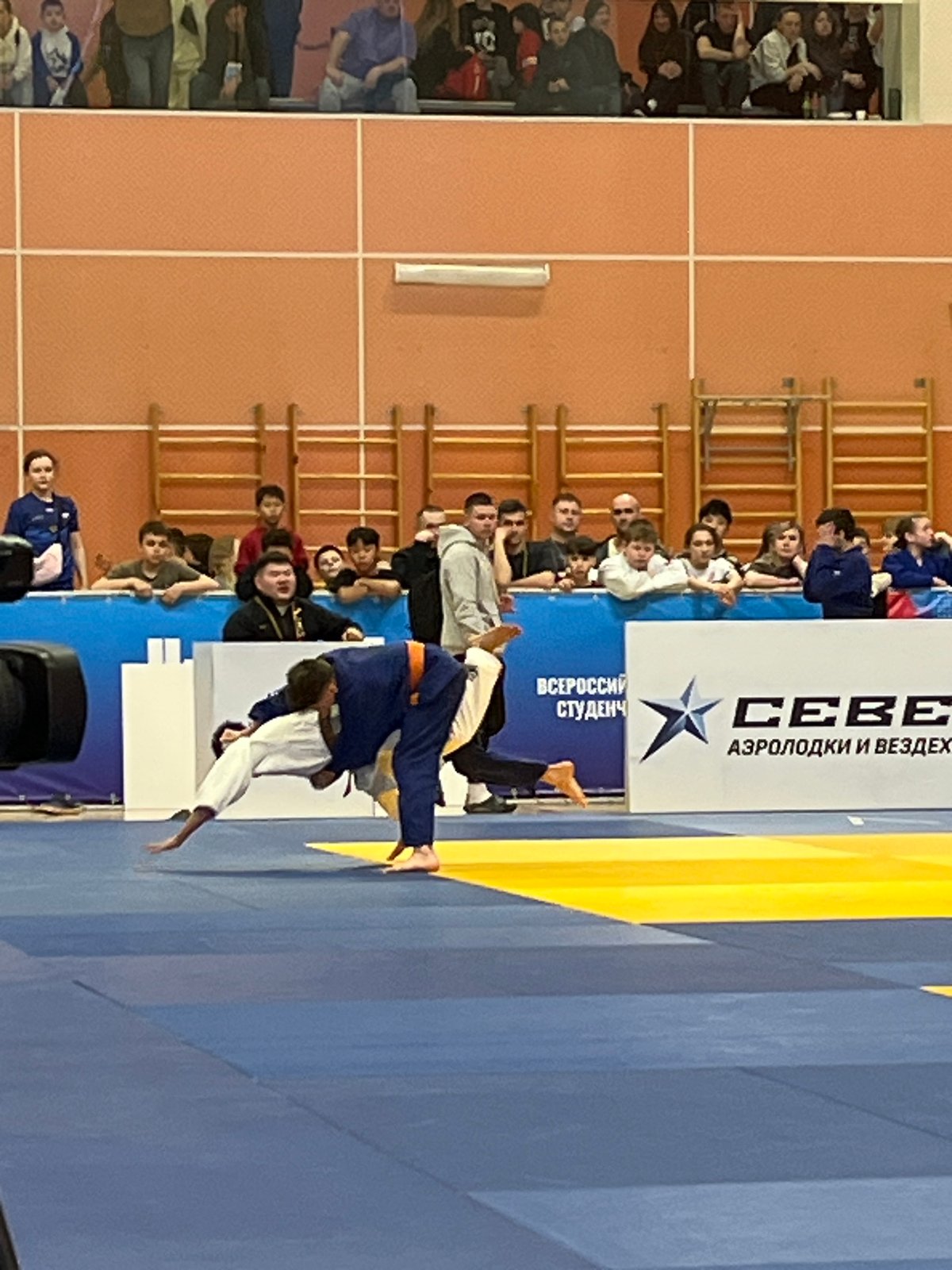 Judo tournament held in Krasnoyarsk sports arena
