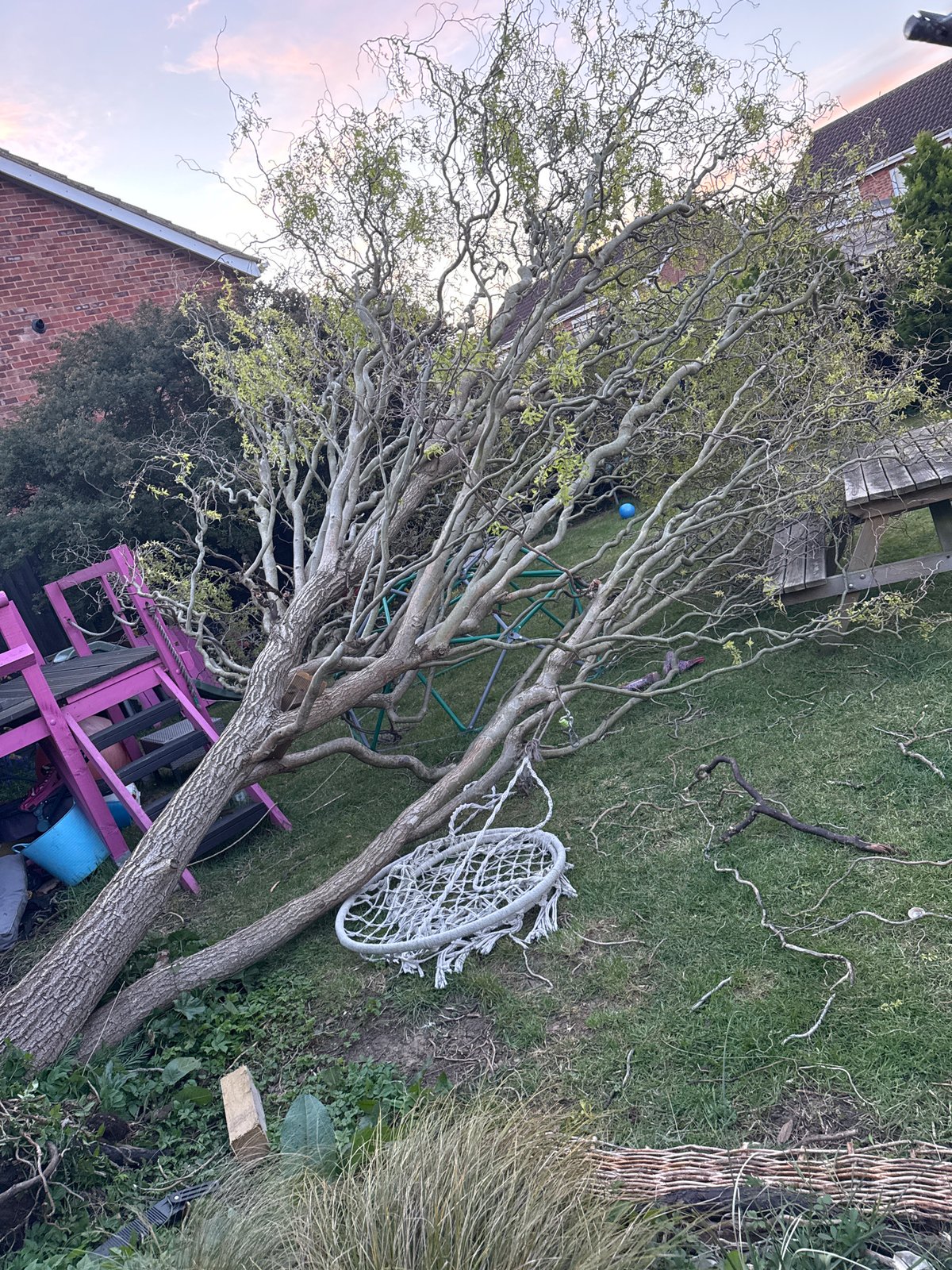 Tree falls across garden lawn in South Kesteven