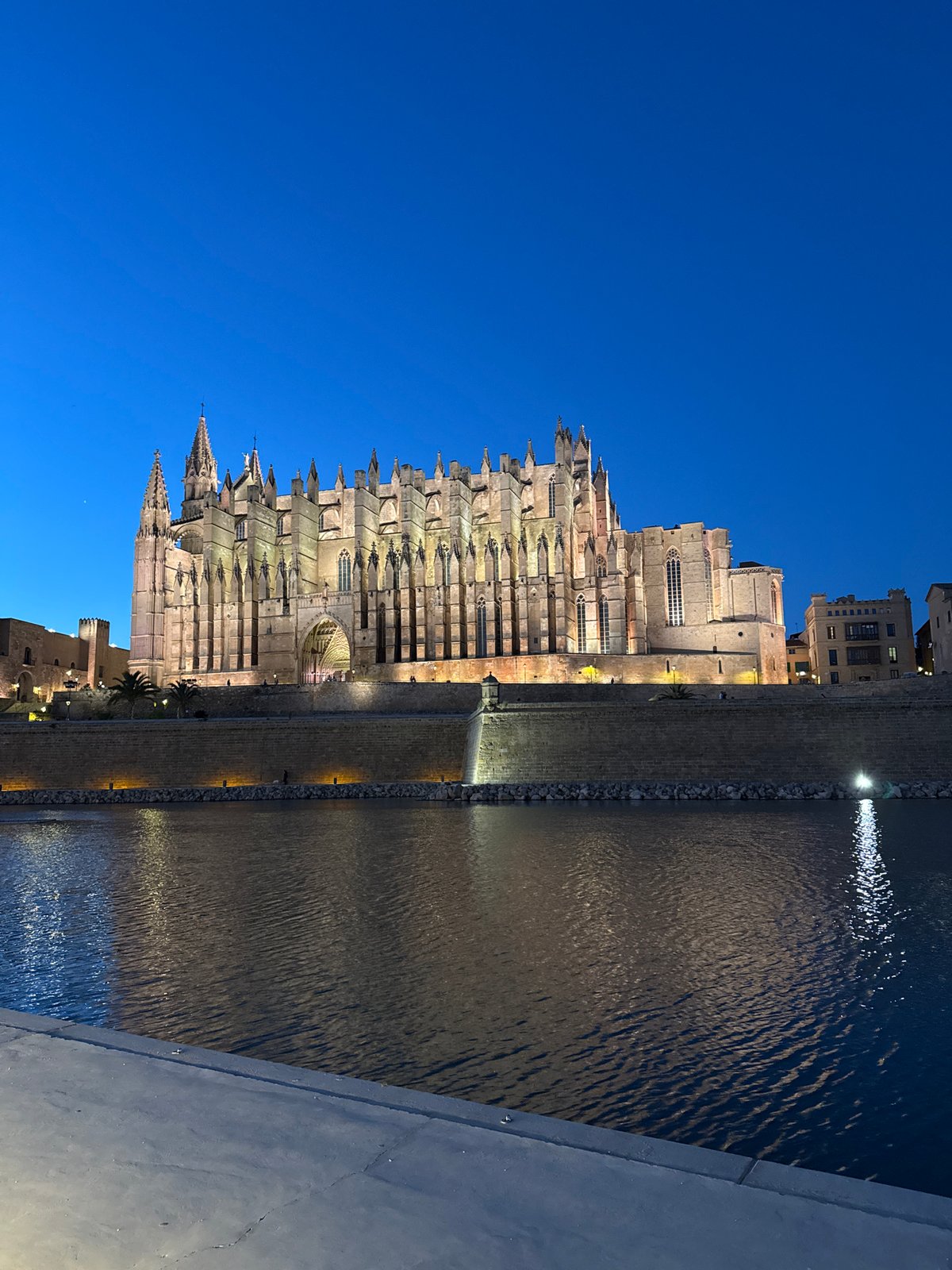 Evening view captured of Palma's historic cathedral La Seu