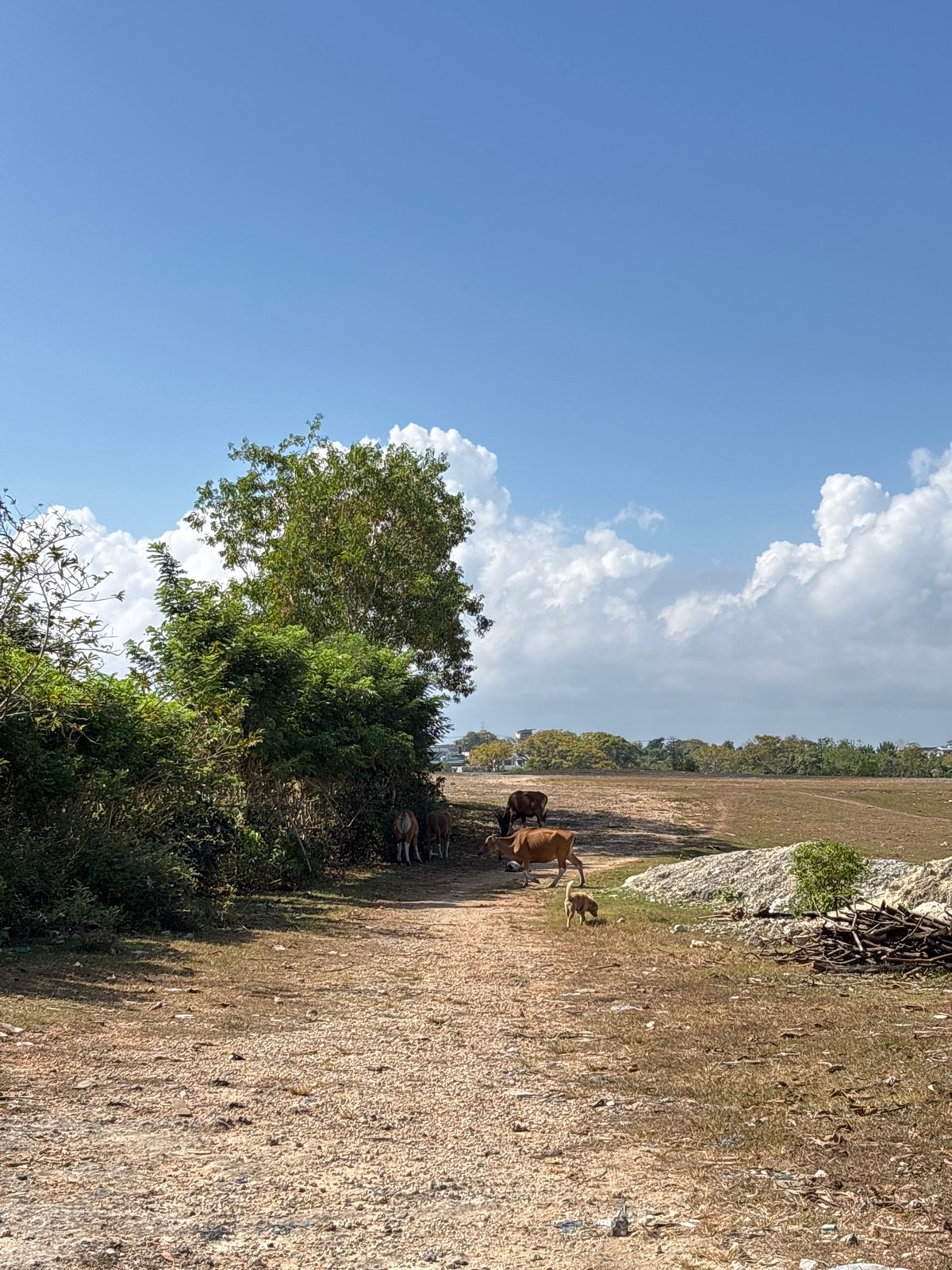 Empty soccer facilities documented in Kuta Selatan countryside