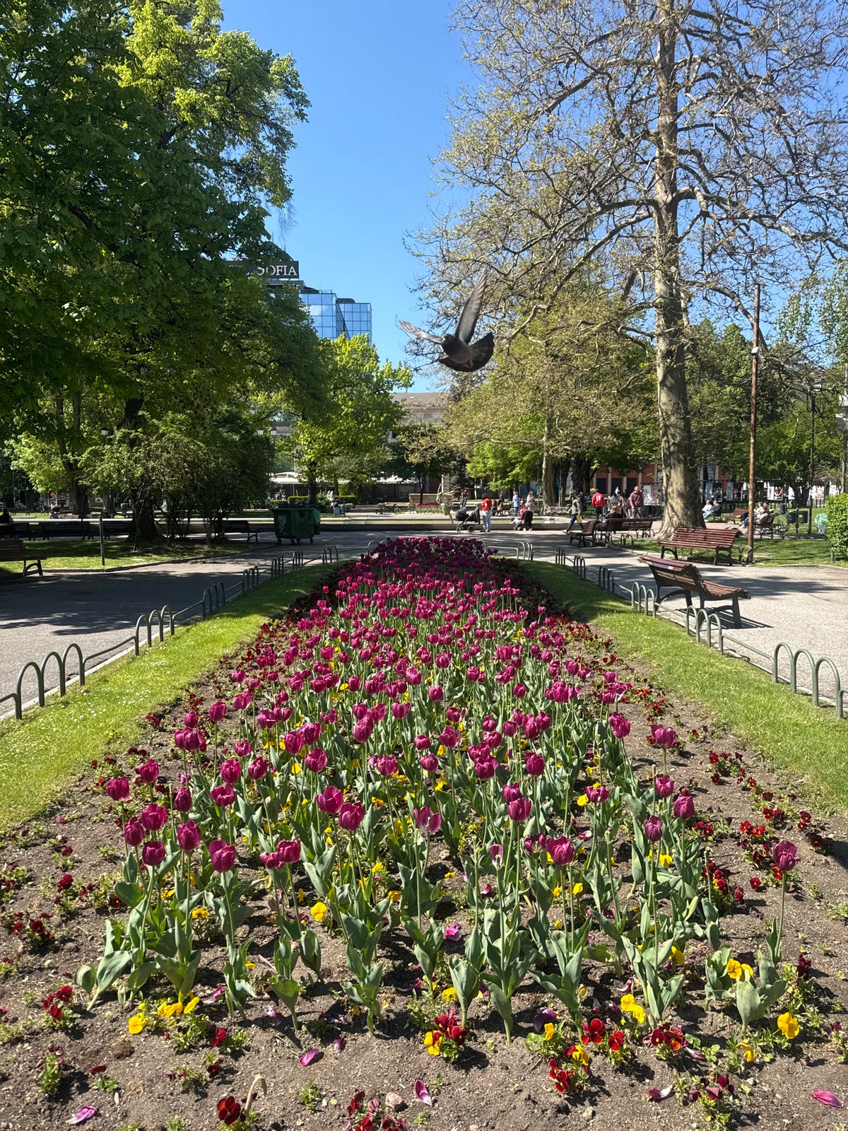 Morning scenes from Sofia captured during 10-minute urban walk