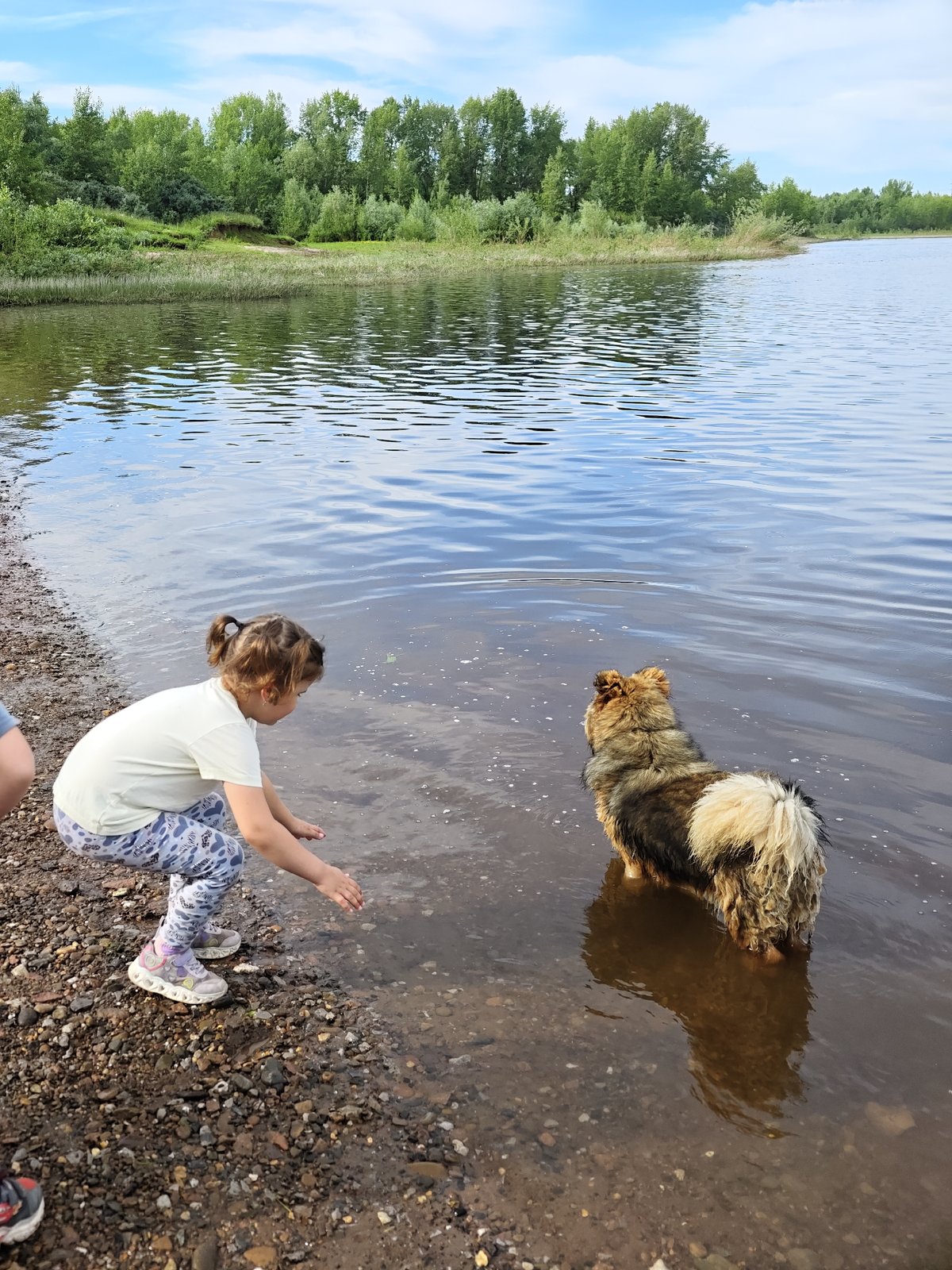 Kids and dogs at a Russian lakeshore, summer afternoon
