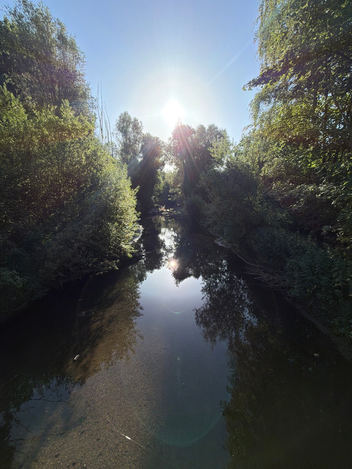 Sunday morning along the Alzette — nature, dogs, and quiet paths