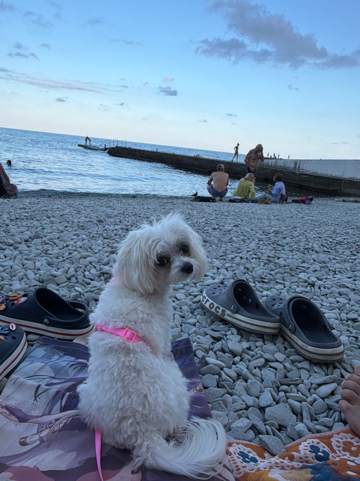 Lazy afternoon on a pebble beach in Partenit, Ukraine