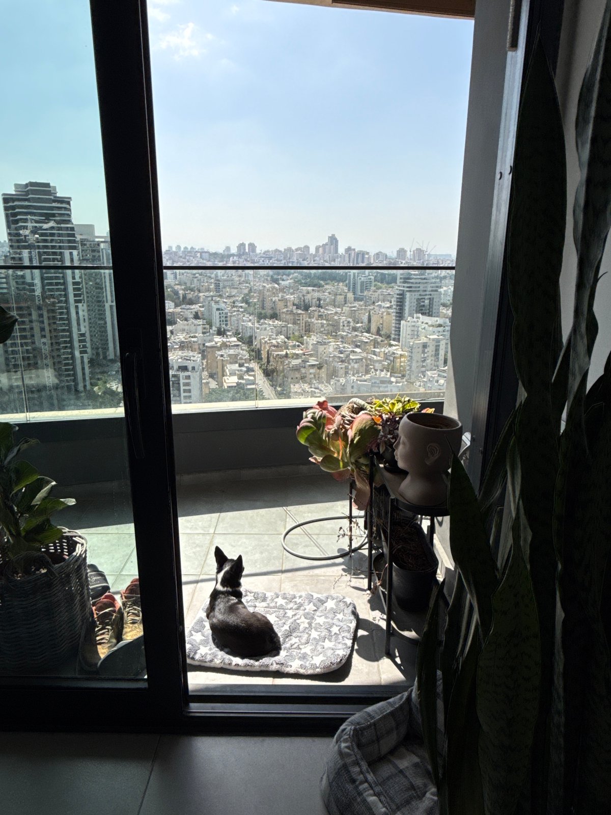 Morning life moments captured across Israeli Tel Aviv suburbs