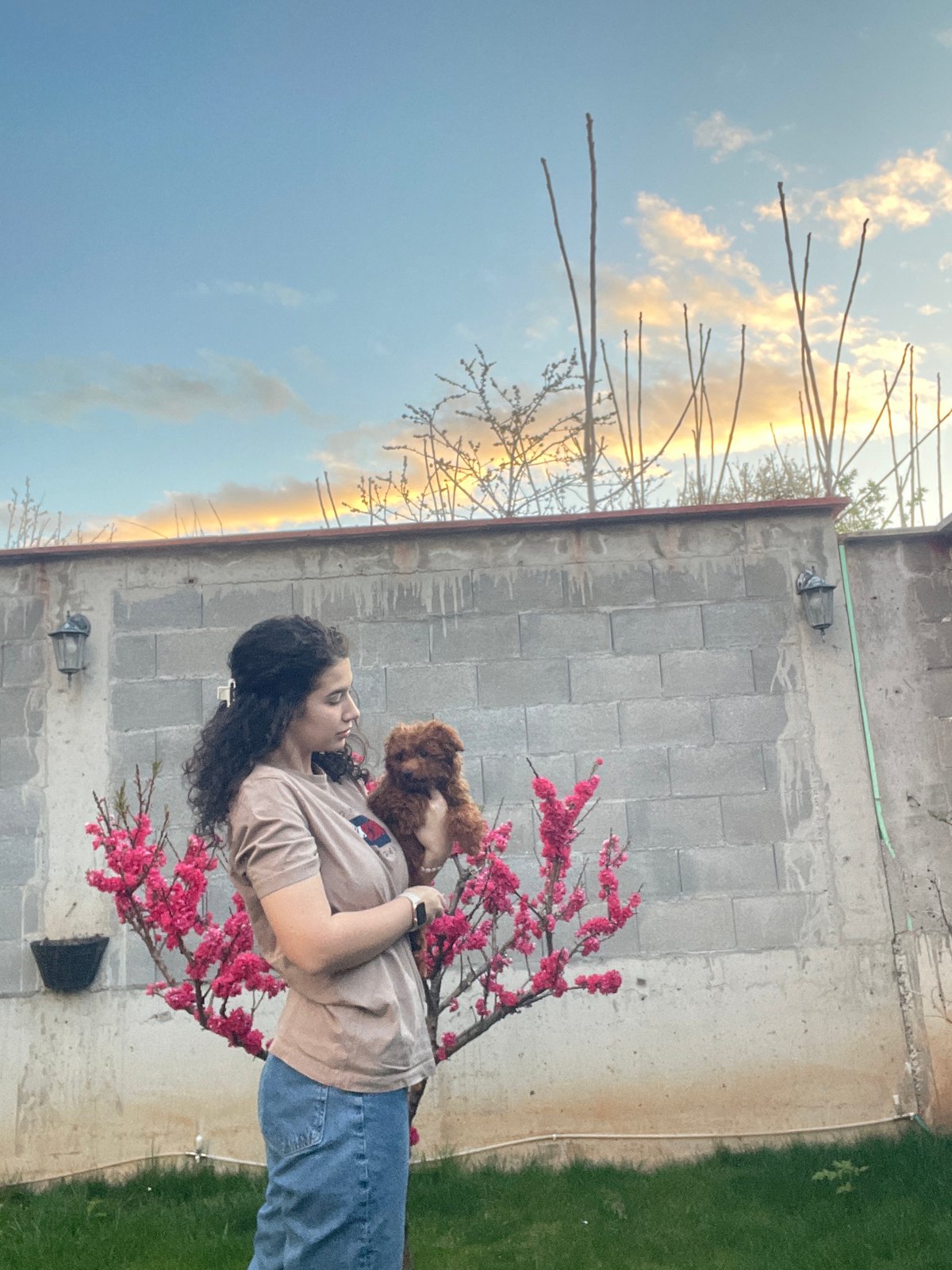Woman with dog spotted near pink flowering tree in Sofia