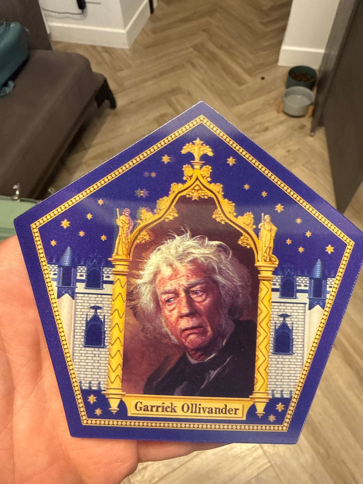 Harry Potter collector showcases merchandise in Krasnoyarsk