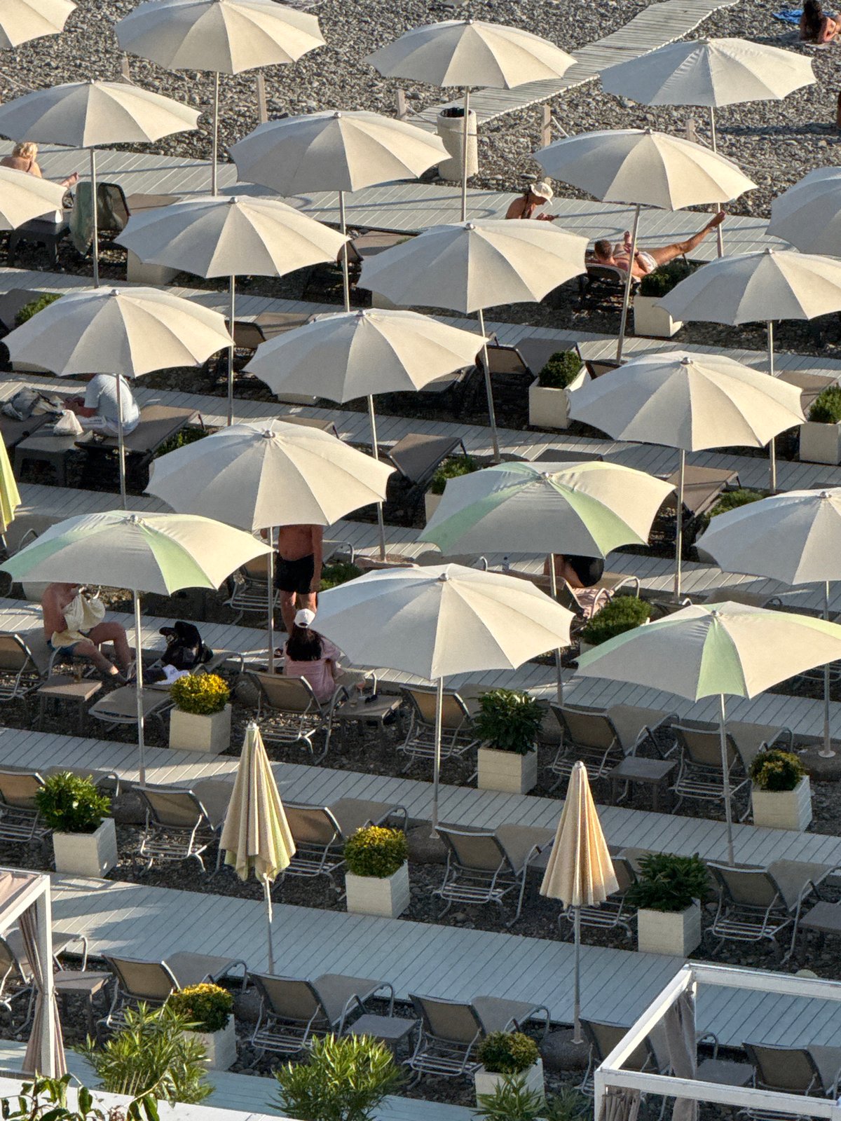Summer day memories captured across Sochi's beaches and streets