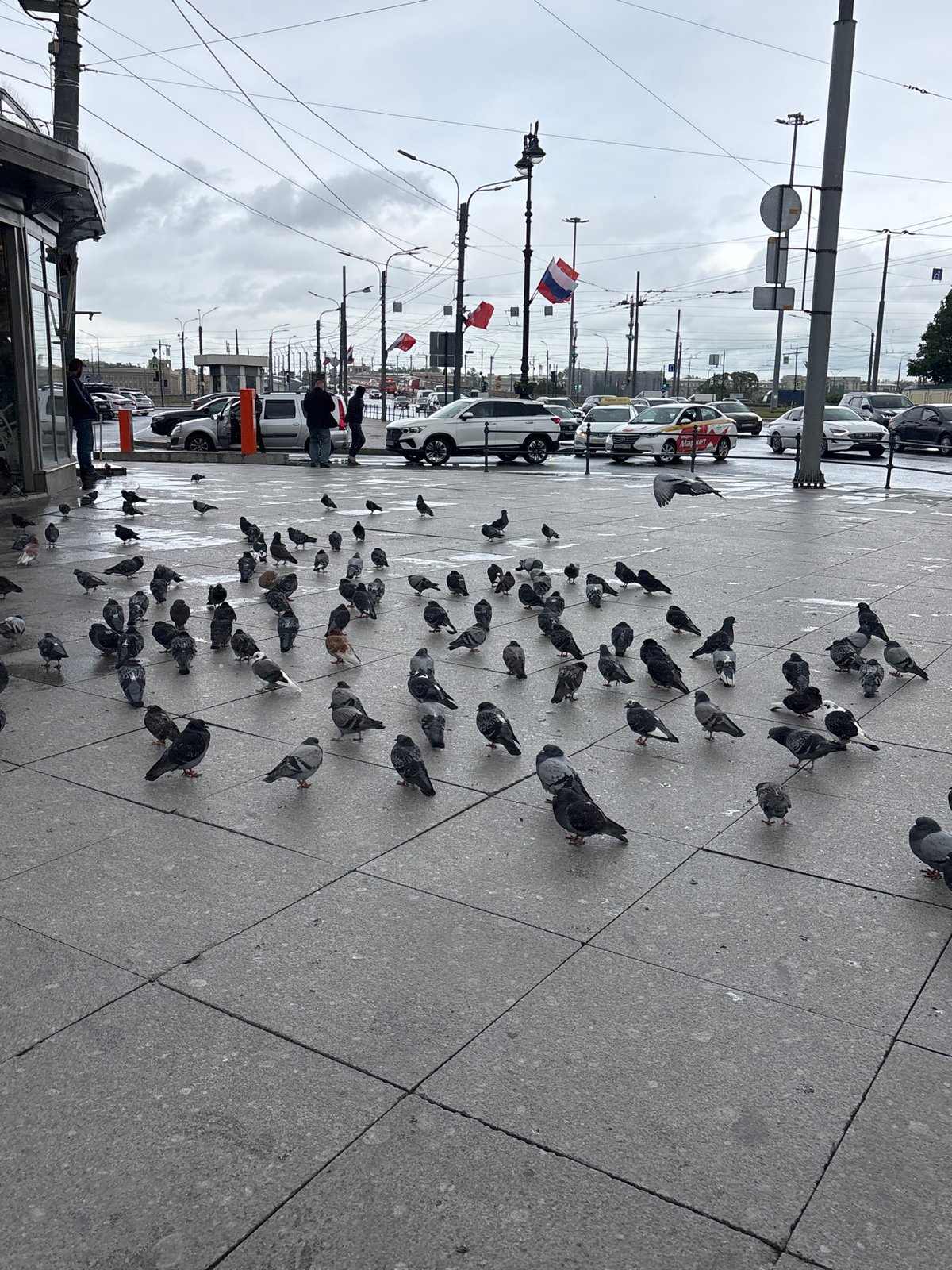 Overcast day street scenes documented across Saint Petersburg