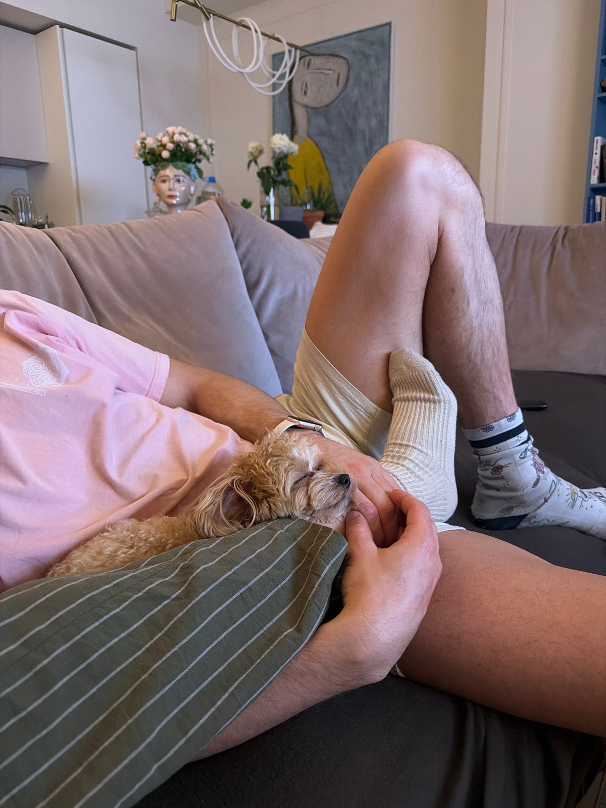Person relaxes with small dog on Moscow sofa