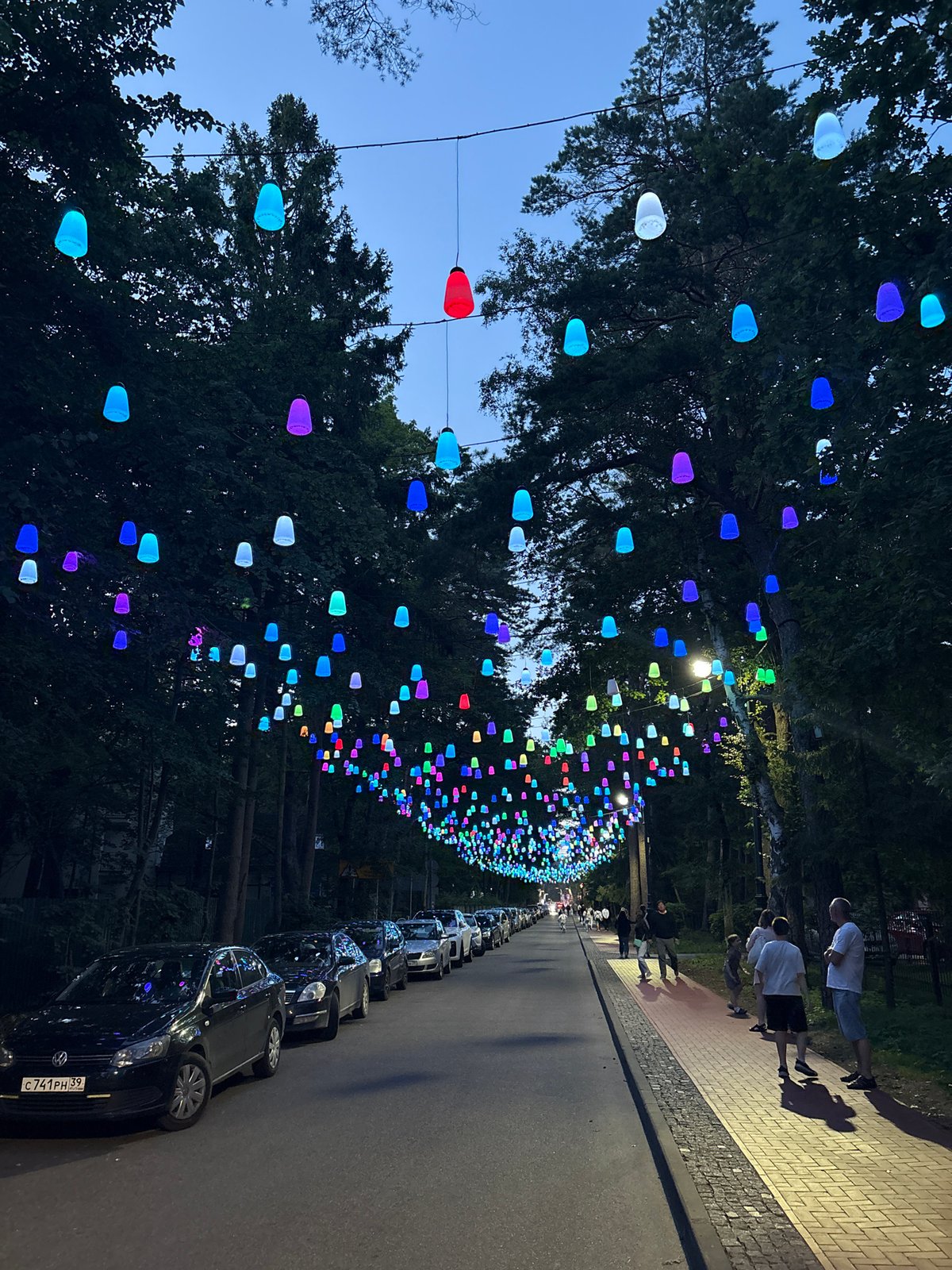 Glowing bell-shaped lanterns canopy a street in Svetlogorsk