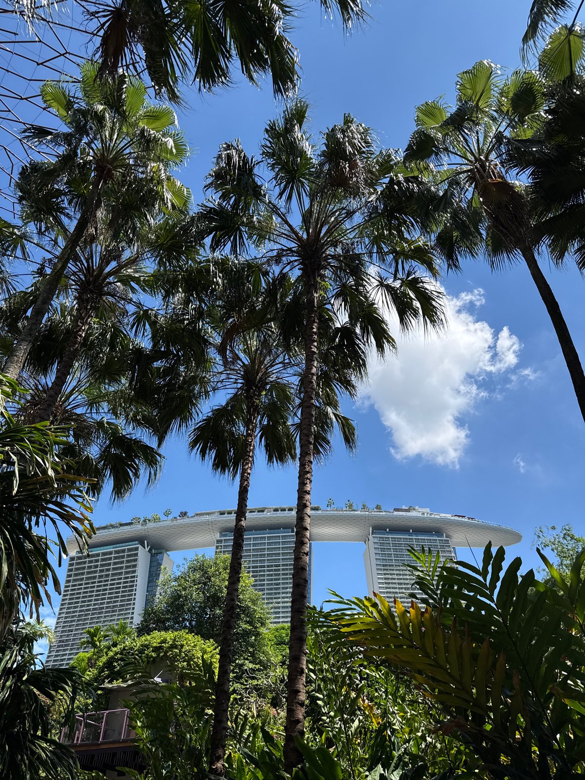 Early morning Marina Bay Sands sighting includes wandering bantam chicken