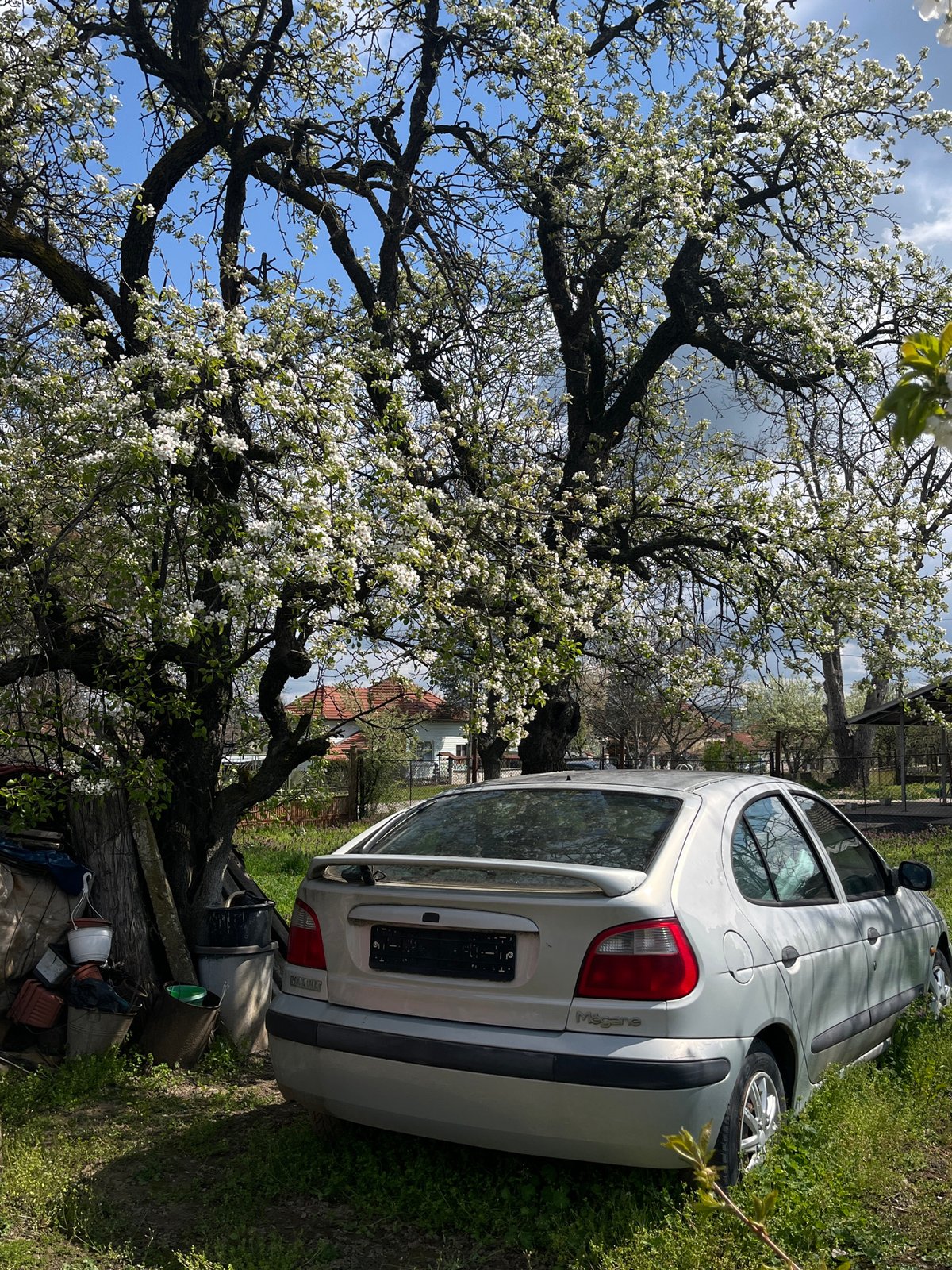 Car parked beside flowering tree in Bulgarian village