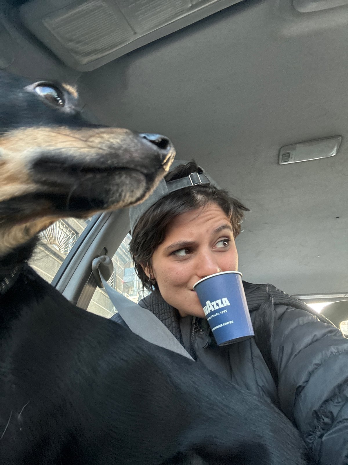 Casual photos captured in Sofia vehicles and indoors