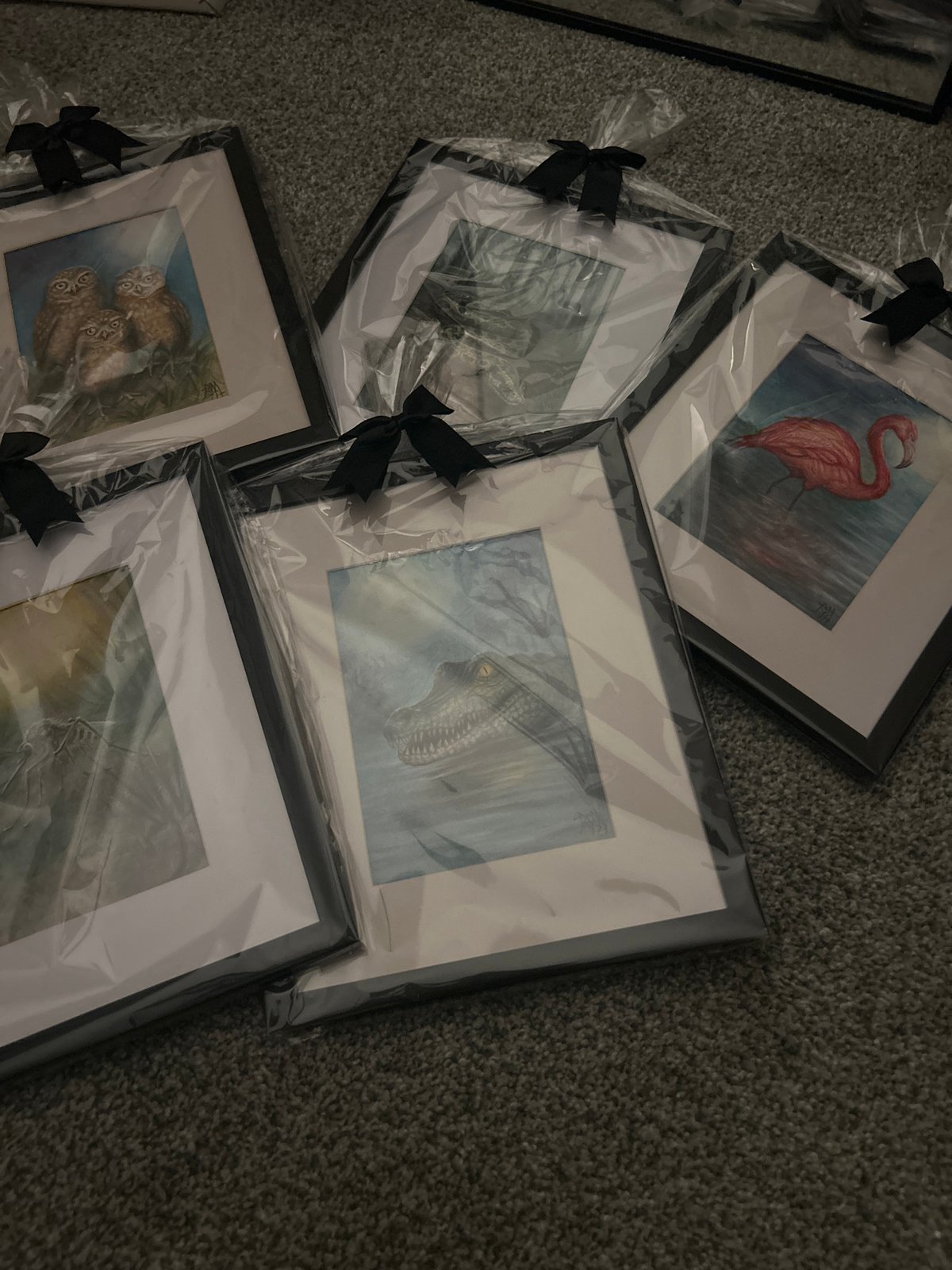 Wildlife artwork collection documented in Cape Coral, Florida