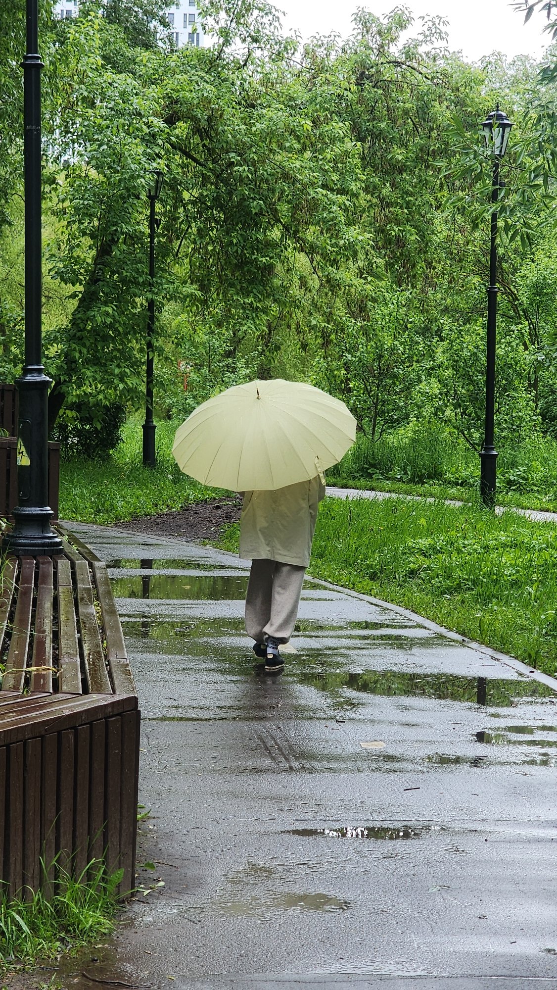 Morning rain shower documented across Moscow park by witnesses