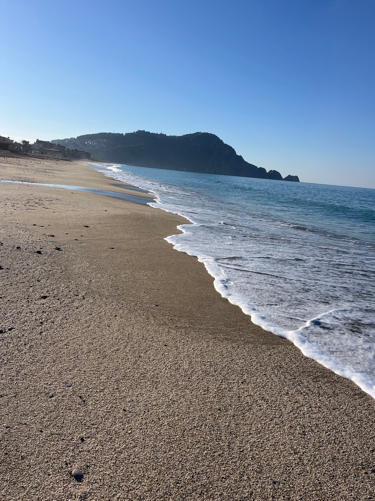 Early morning bird activity observed on Alanya beach