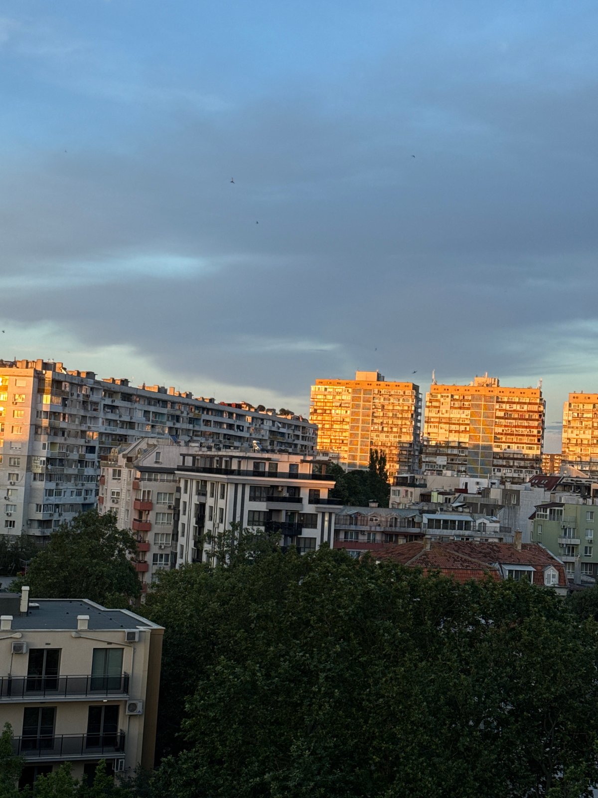 Evening walk with a white dog through Varna streets at dusk