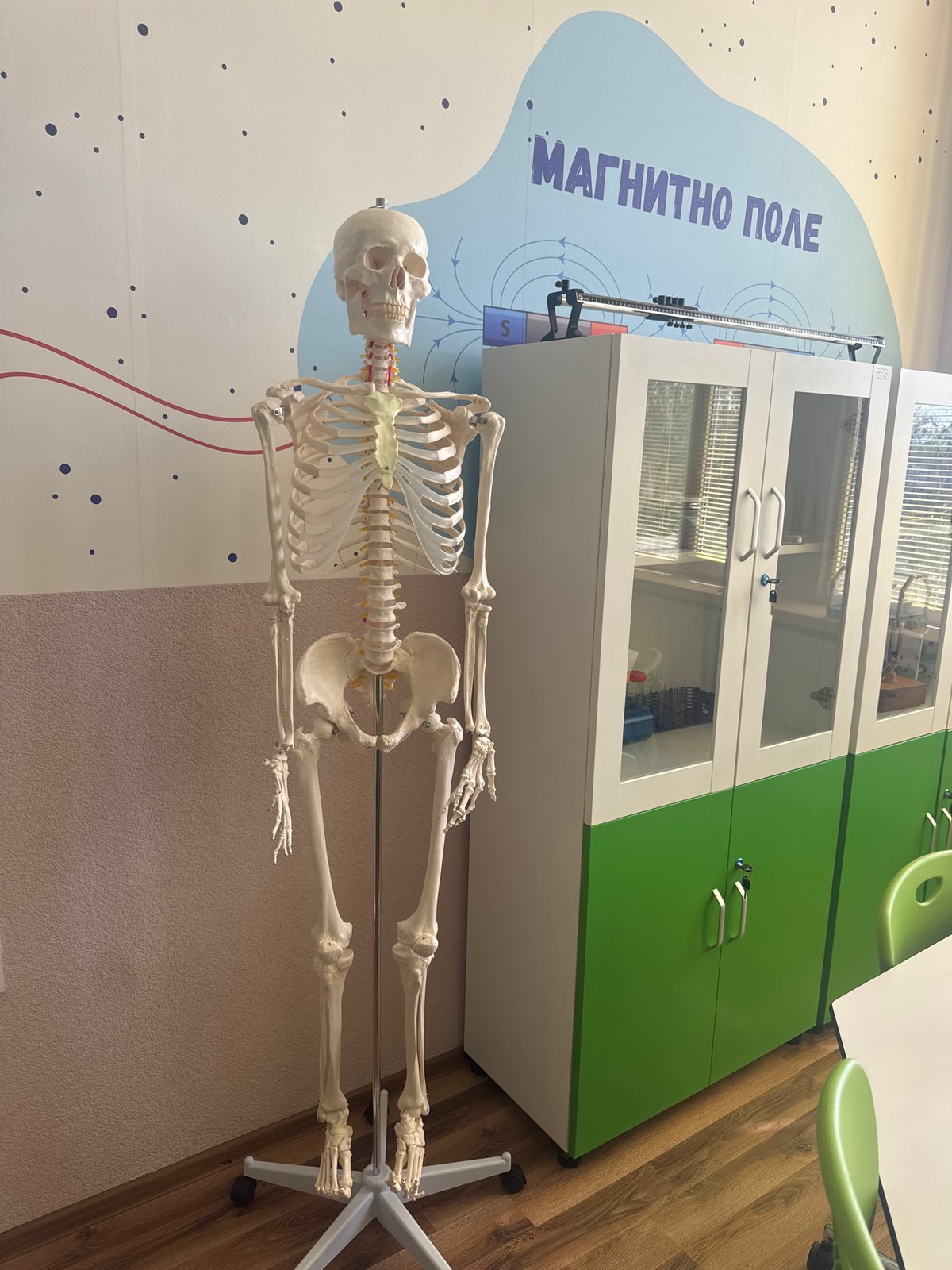 Educational facilities documented in Montana, Bulgaria during morning hours